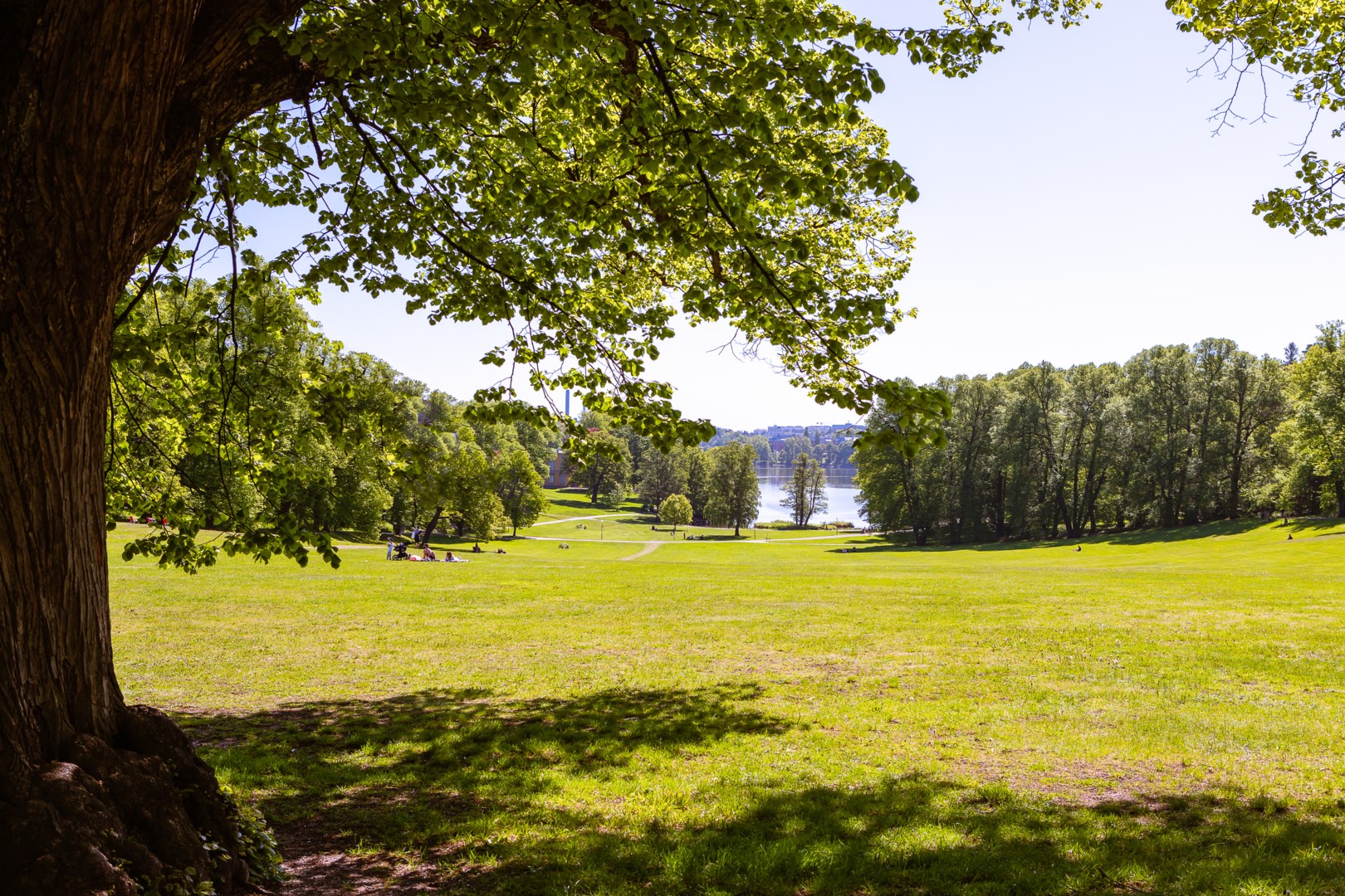 Bostadsbild från Roslagsgatan 17, Såld i Vasastan - Sibirien, Stockholm