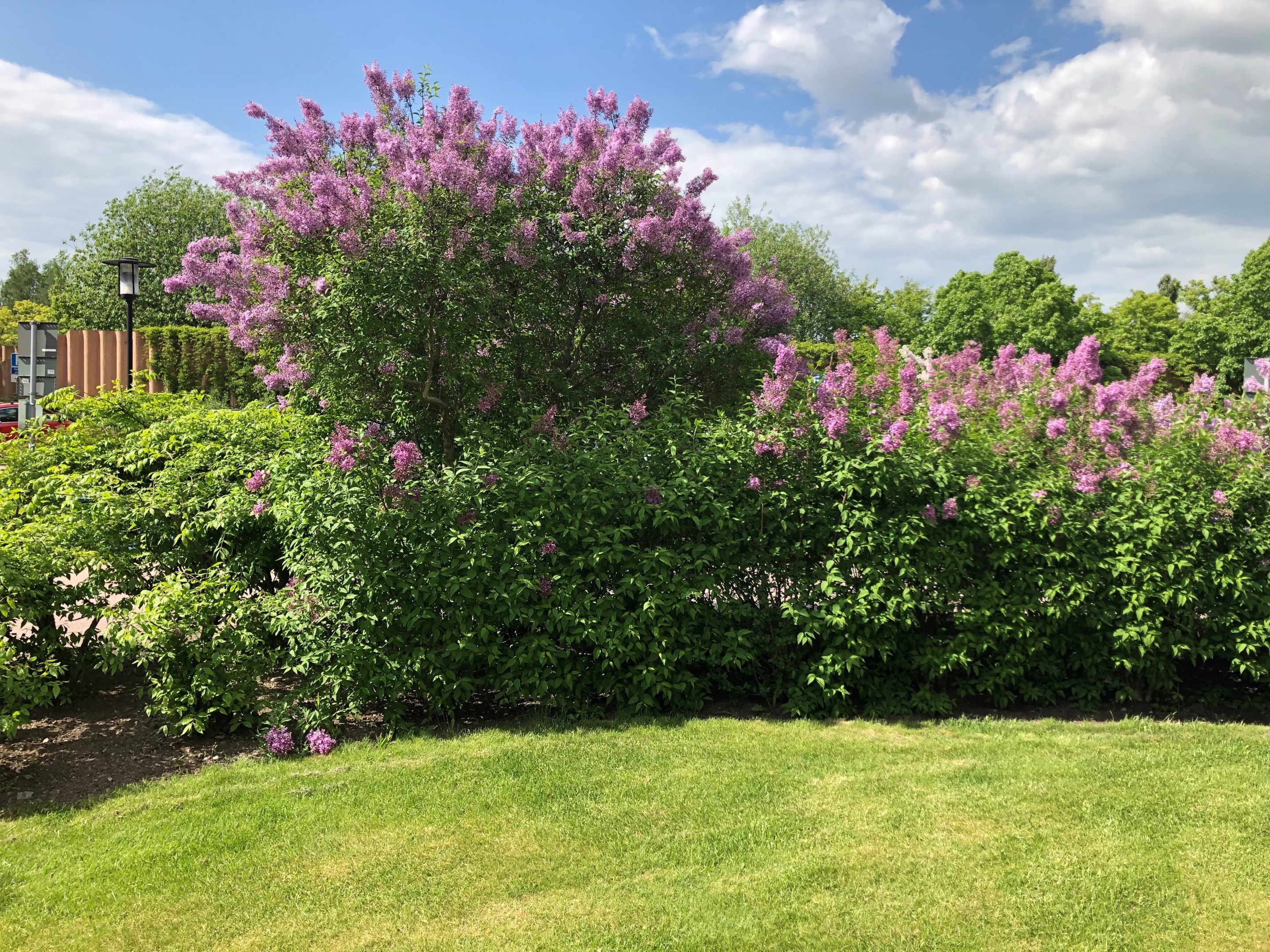 Bostadsbild från Svartbäcksgatan 110 A, Såld i Svartbäcken, Uppsala