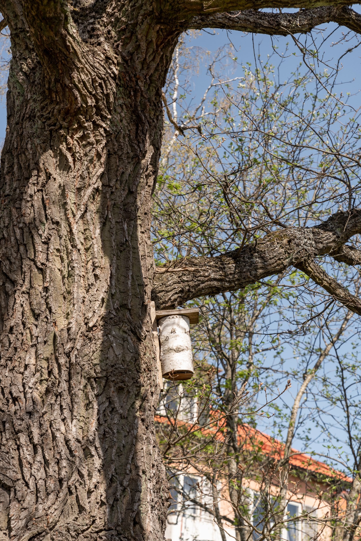 Bostadsbild från Åsgatan 1, Såld i Jakobsberg, Västerås