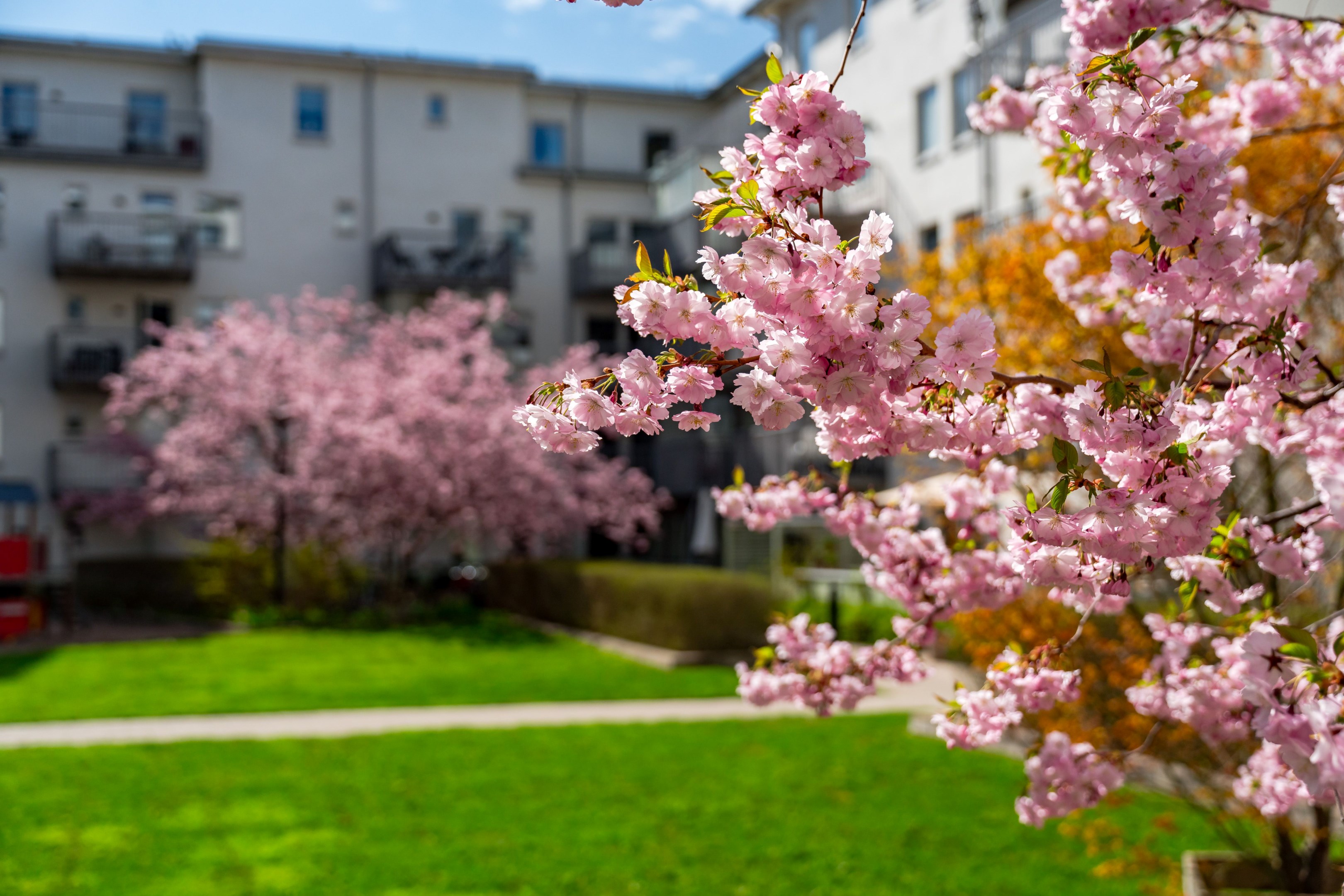 Bostadsbild från Torngatan 34, Såld i Kapellgärdet, Uppsala