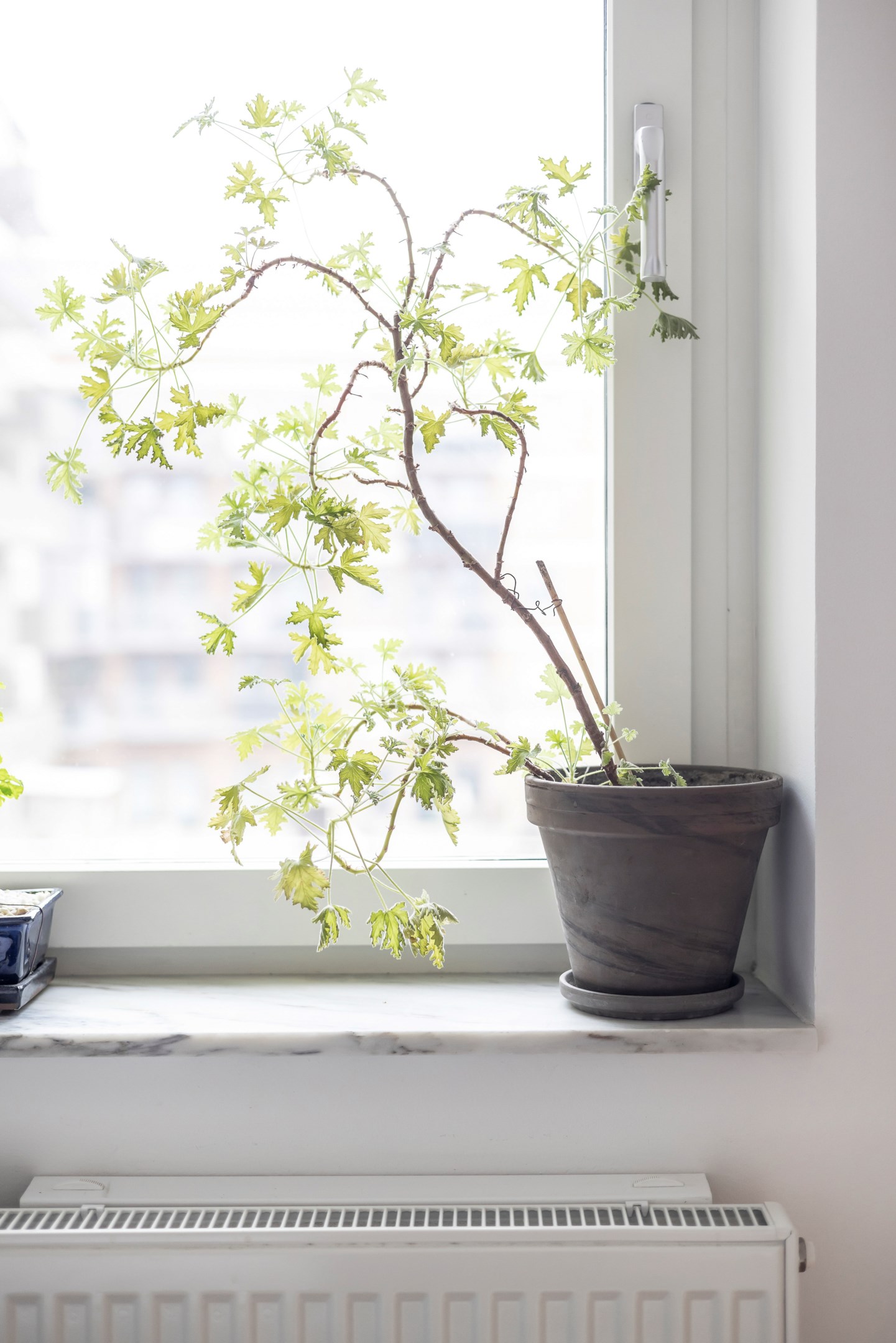 Bostadsbild från Bruno Liljeforsgatan 36, Såld i Gränby, Uppsala