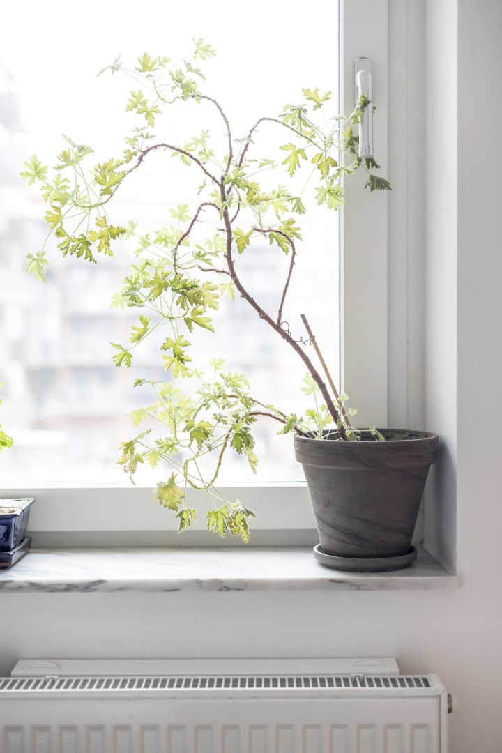 Bostadsbild från Bruno Liljeforsgatan 36, Såld i Gränby, Uppsala