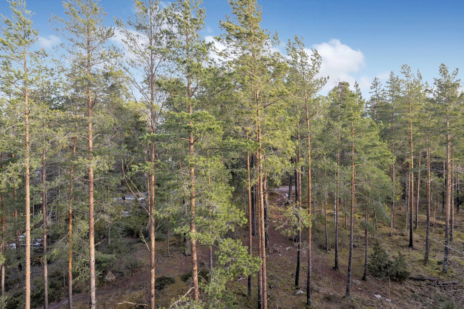 Bostadsbild från Herrhagsvägen 405, Kommande i Herrhagen, Uppsala