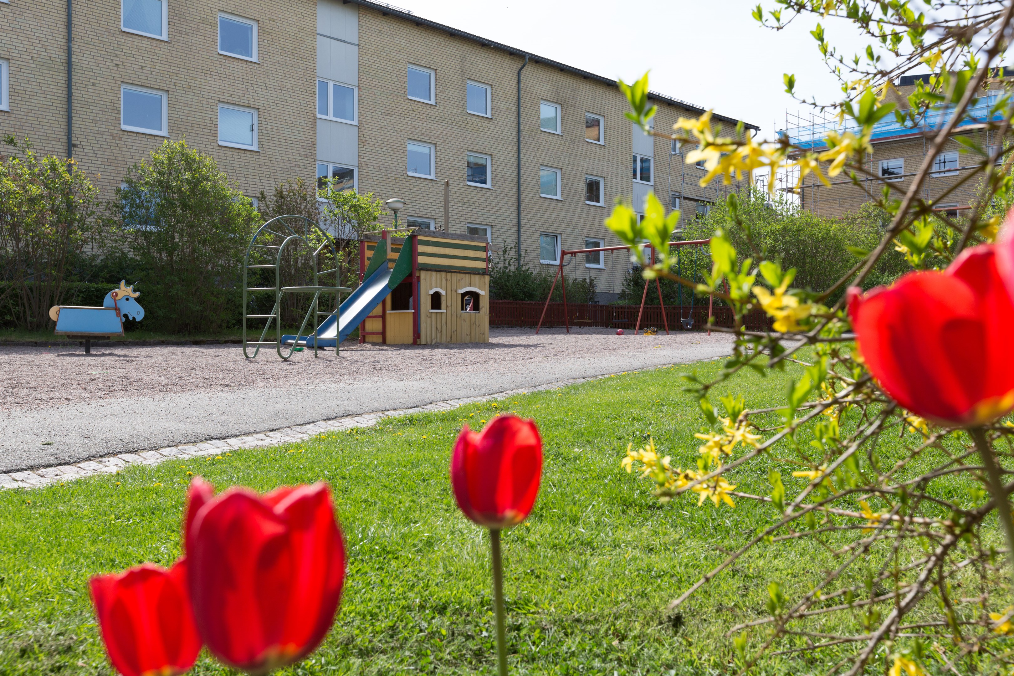 Bostadsbild från Ringgatan 45B, Kommande i Luthagen, Uppsala
