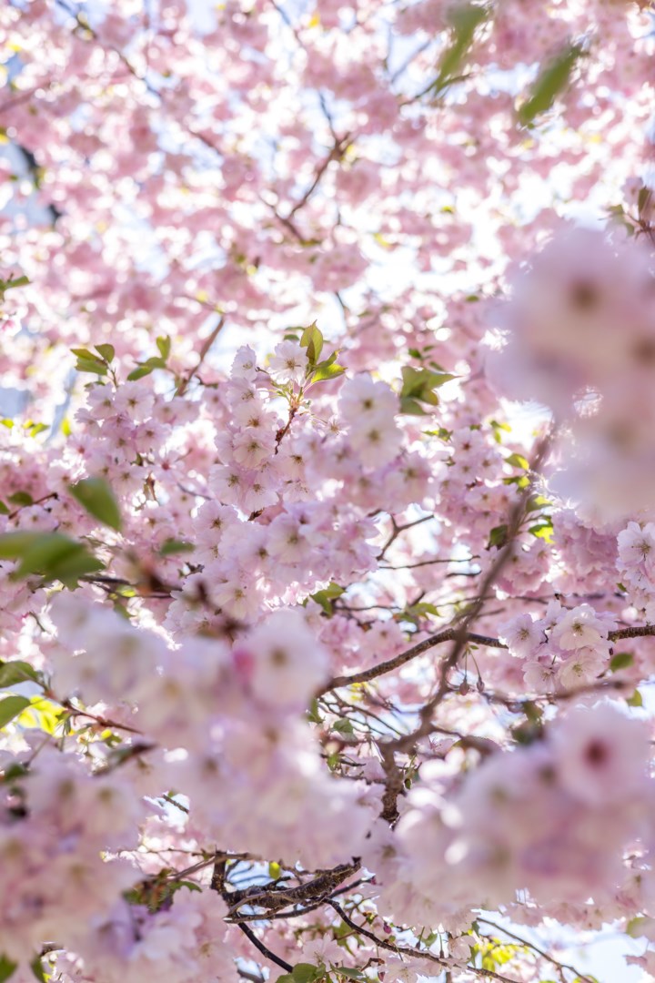 Bostadsbild från Norbyvägen 46A, Såld i Sommarro, Uppsala