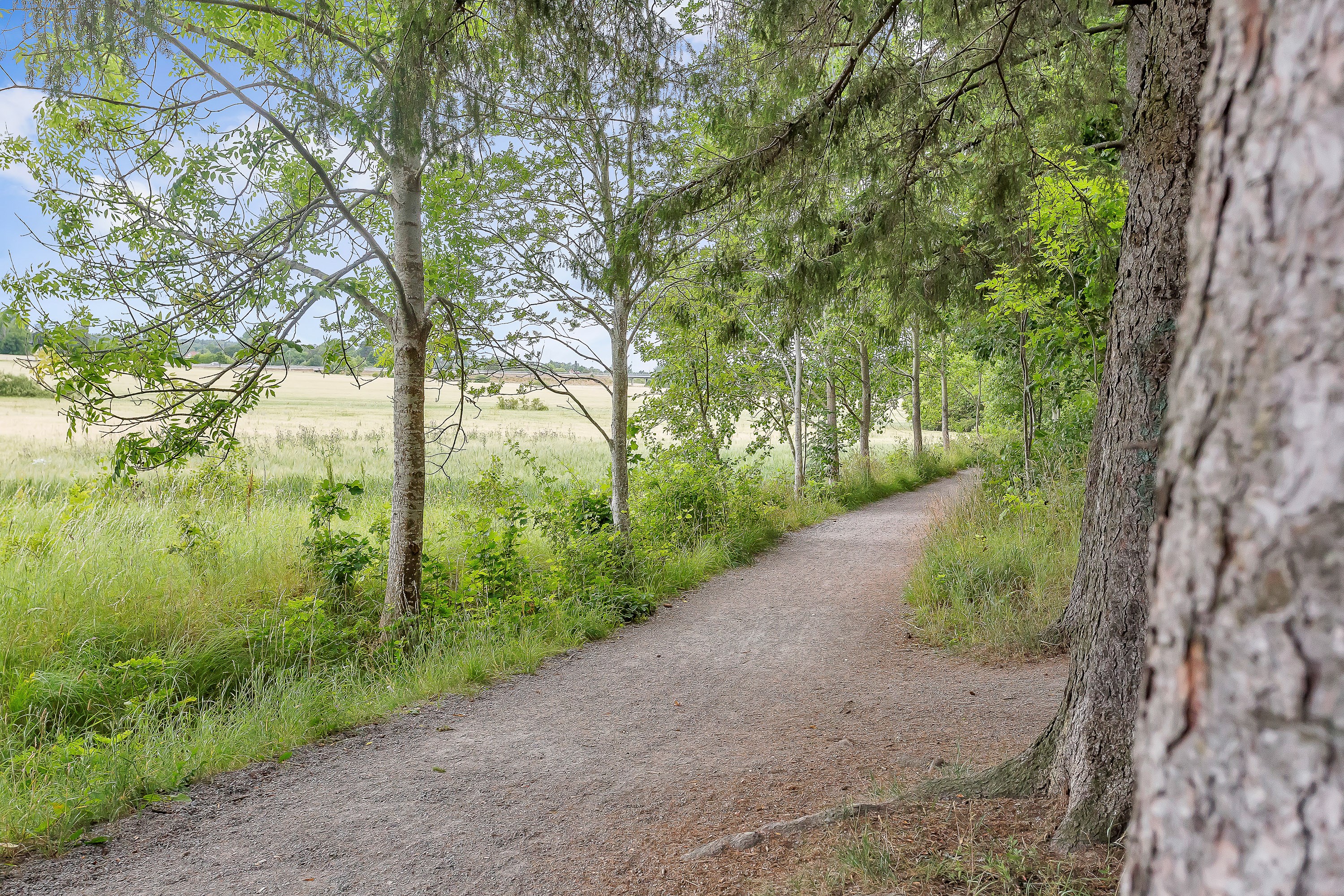 Bostadsbild från Hällbygatan 34 A, Såld i Luthagen, Uppsala