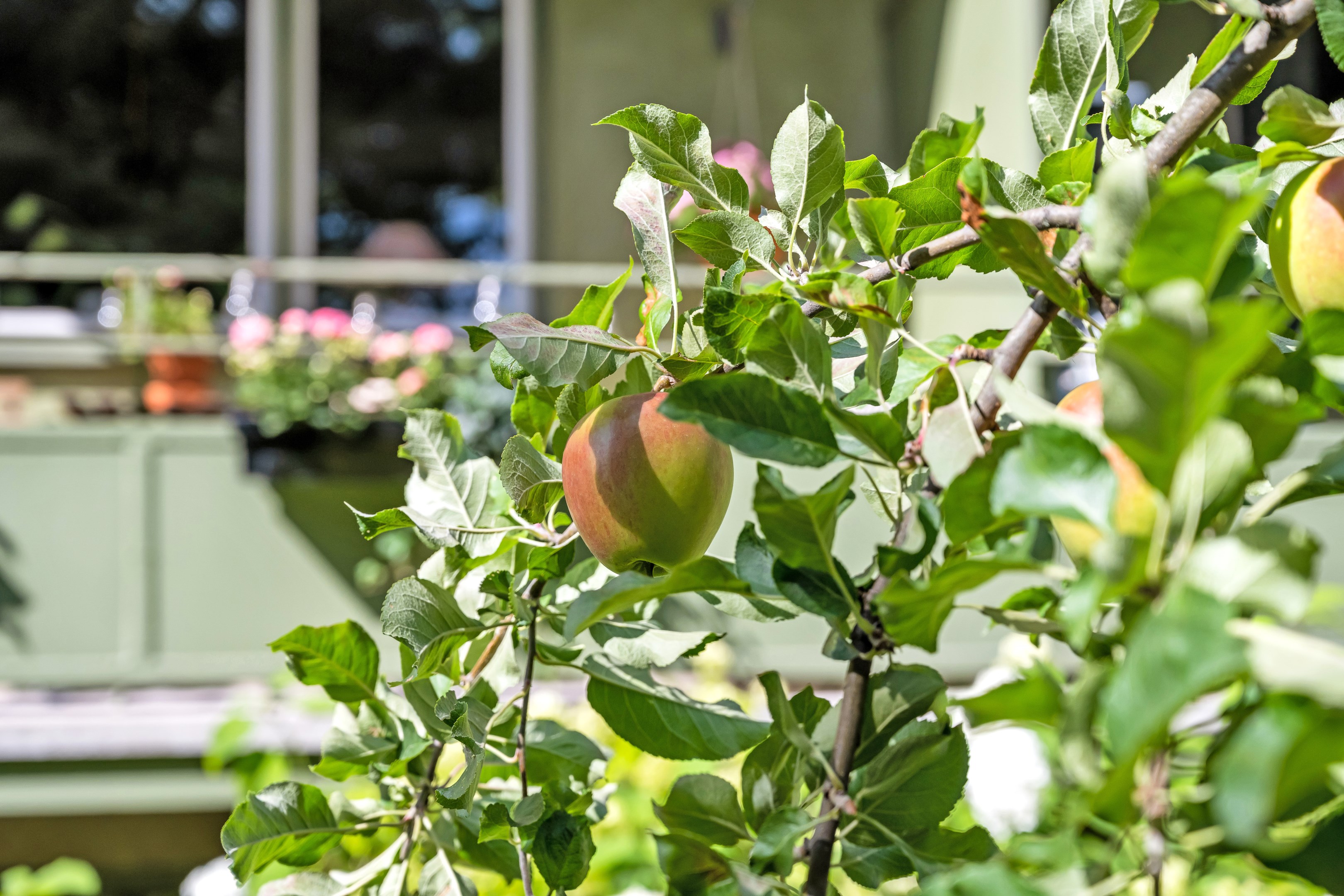 Bostadsbild från Luthagsesplanaden 28B, Såld i Luthagen, Uppsala