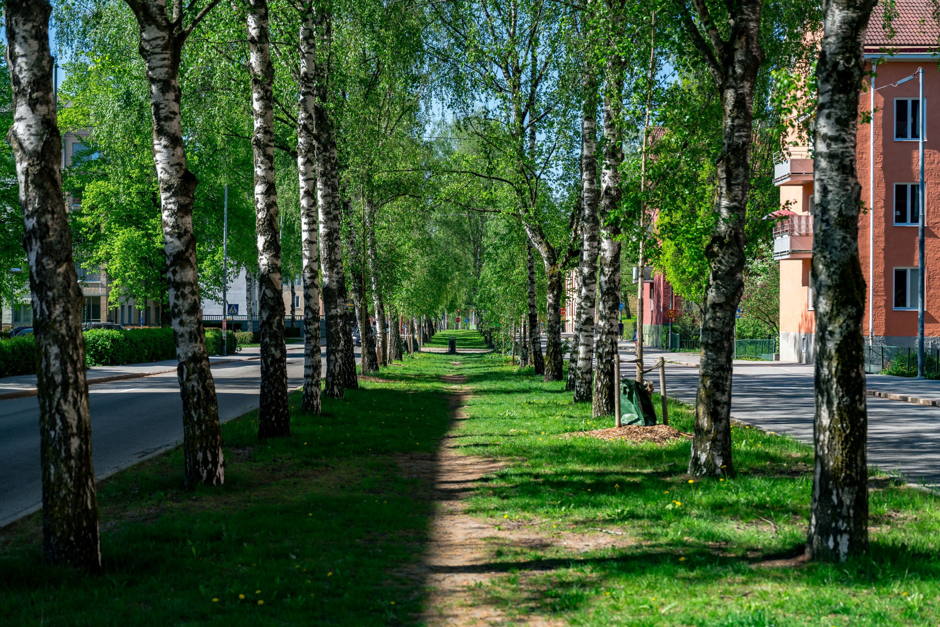 Bostadsbild från S:t Olofsgatan 62A, Såld i Höganäs, Uppsala