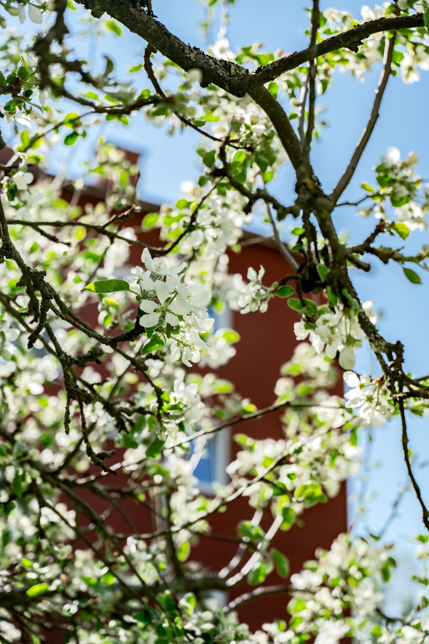 Bostadsbild från S:t Olofsgatan 62A, Såld i Höganäs, Uppsala