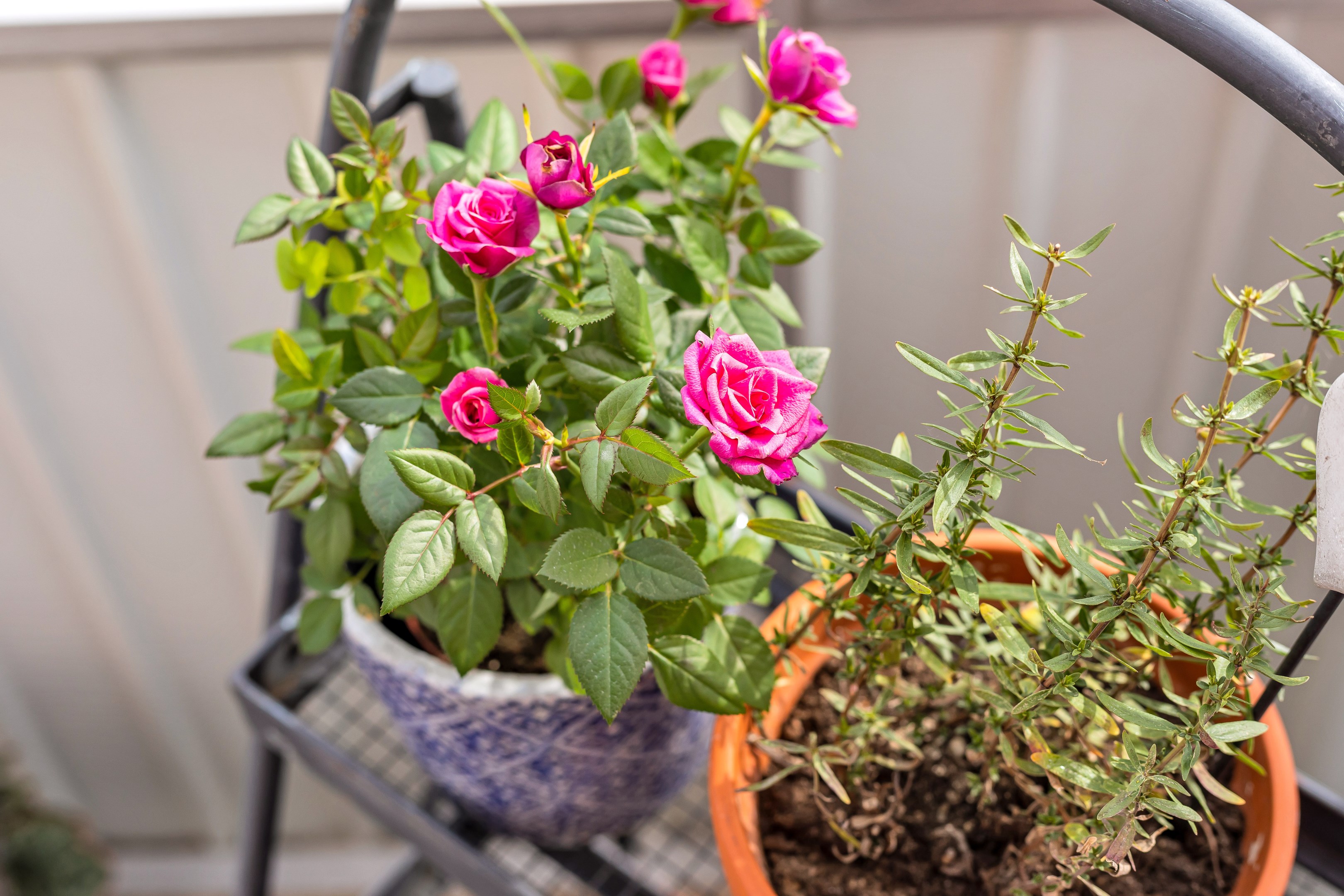 Bostadsbild från Ringgatan 16 B, Såld i Luthagen, Uppsala