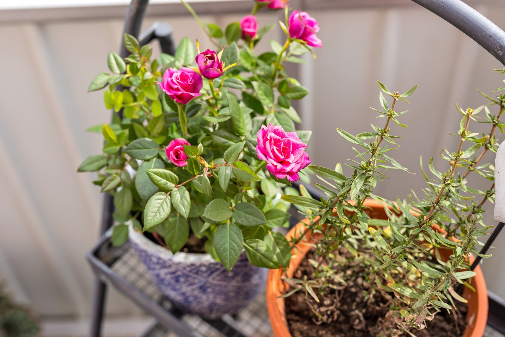 Bostadsbild från Ringgatan 16 B, Såld i Luthagen, Uppsala