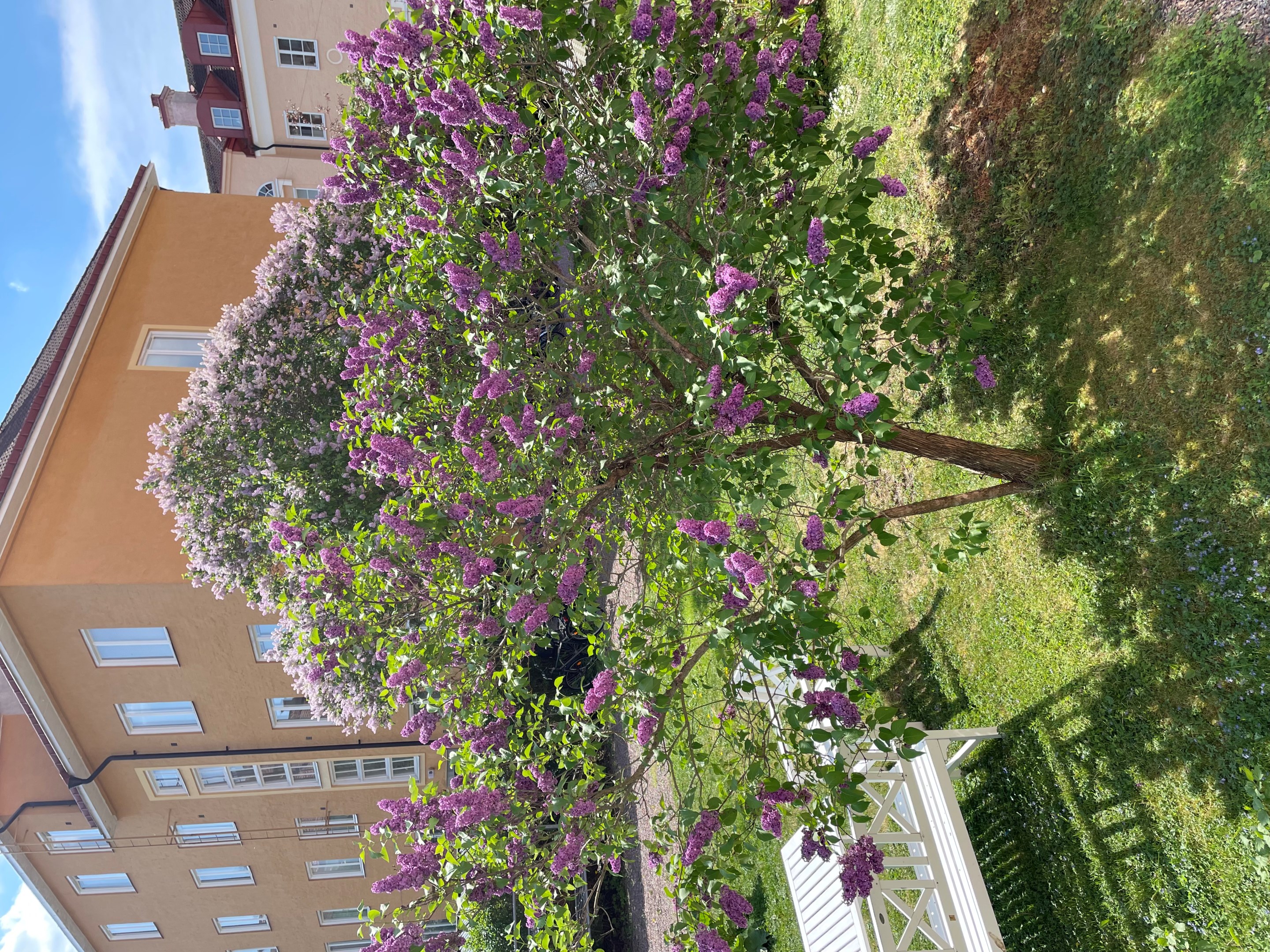 Bostadsbild från Ringgatan 16A, Såld i Luthagen, Uppsala