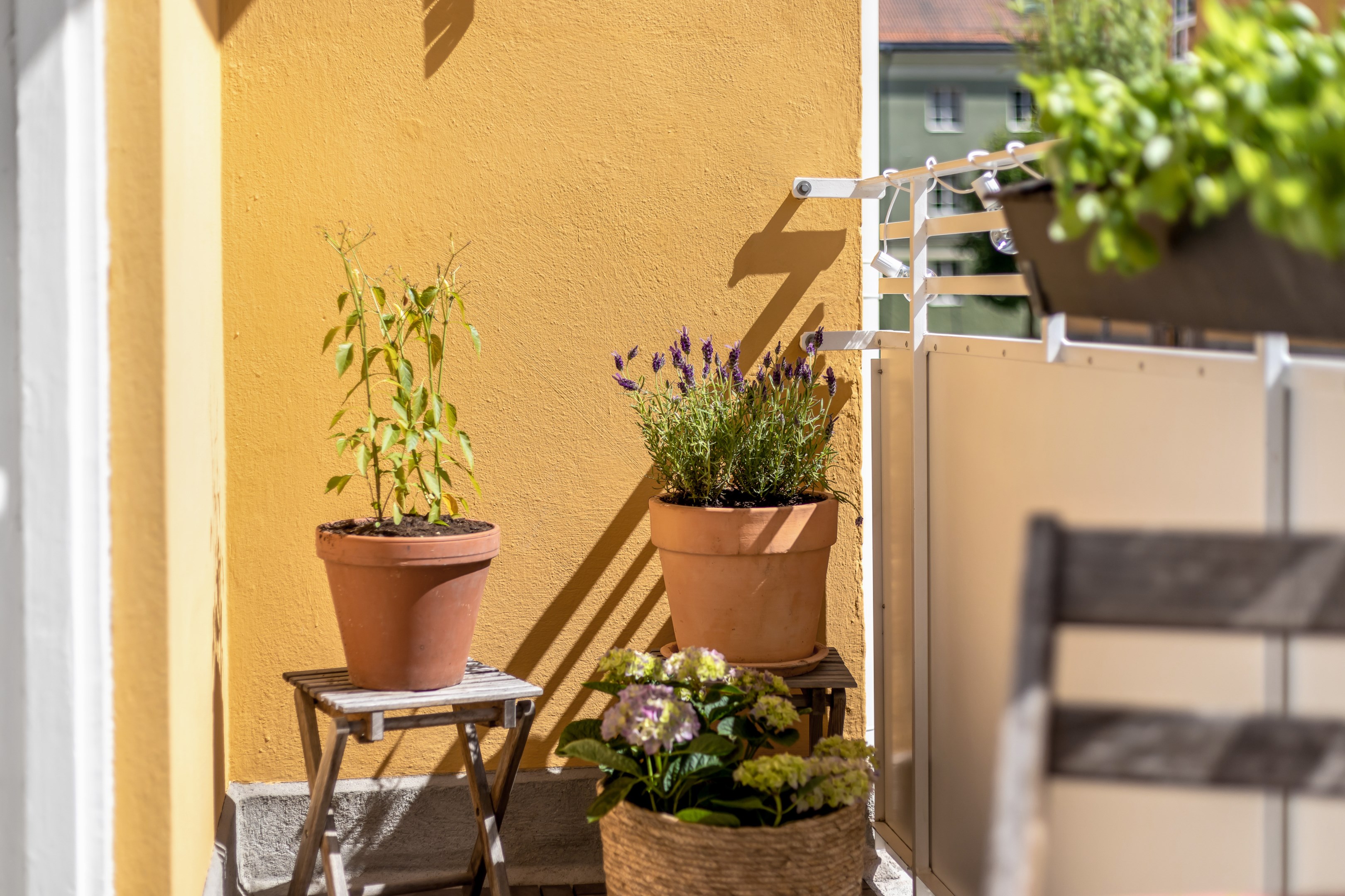 Bostadsbild från Tegnérgatan 28A, Snart till salu i Luthagen, Uppsala