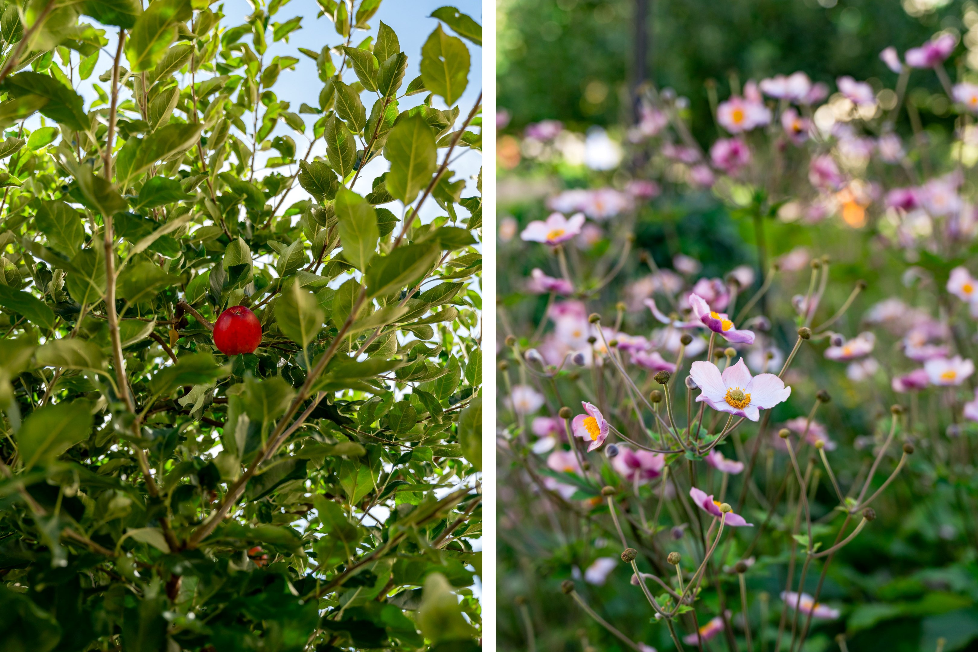 Bostadsbild från Börjegatan 43B, Såld i Luthagen, Uppsala