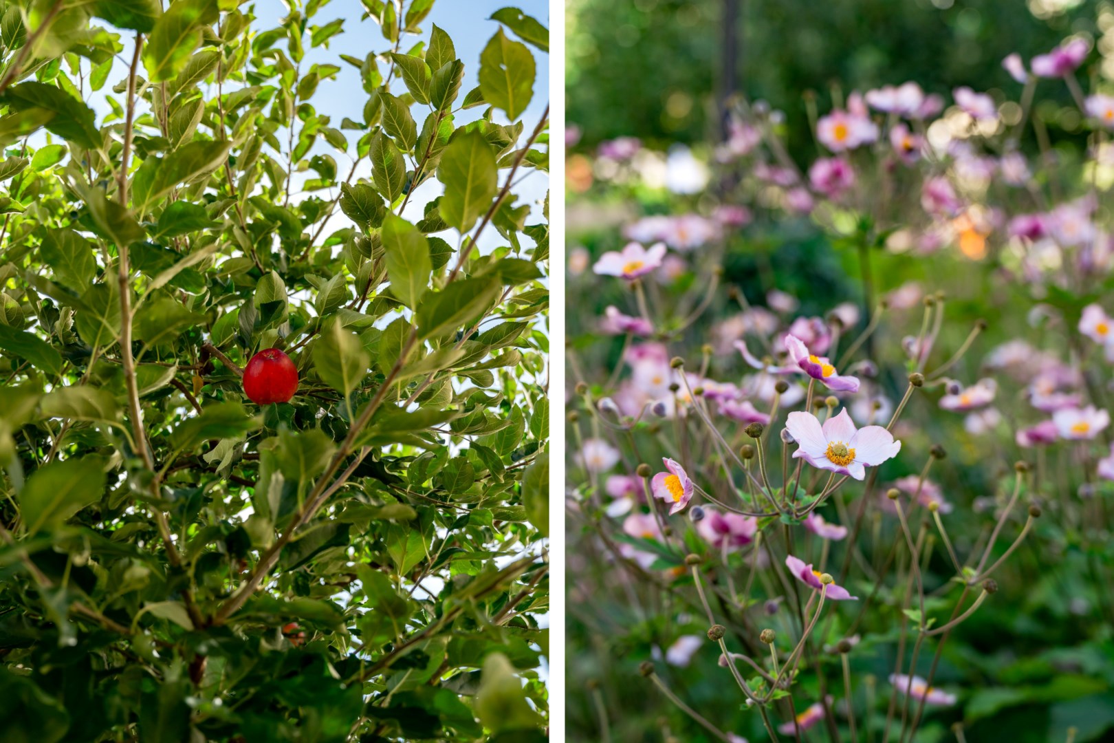 Bostadsbild från Börjegatan 43B, Såld i Luthagen, Uppsala