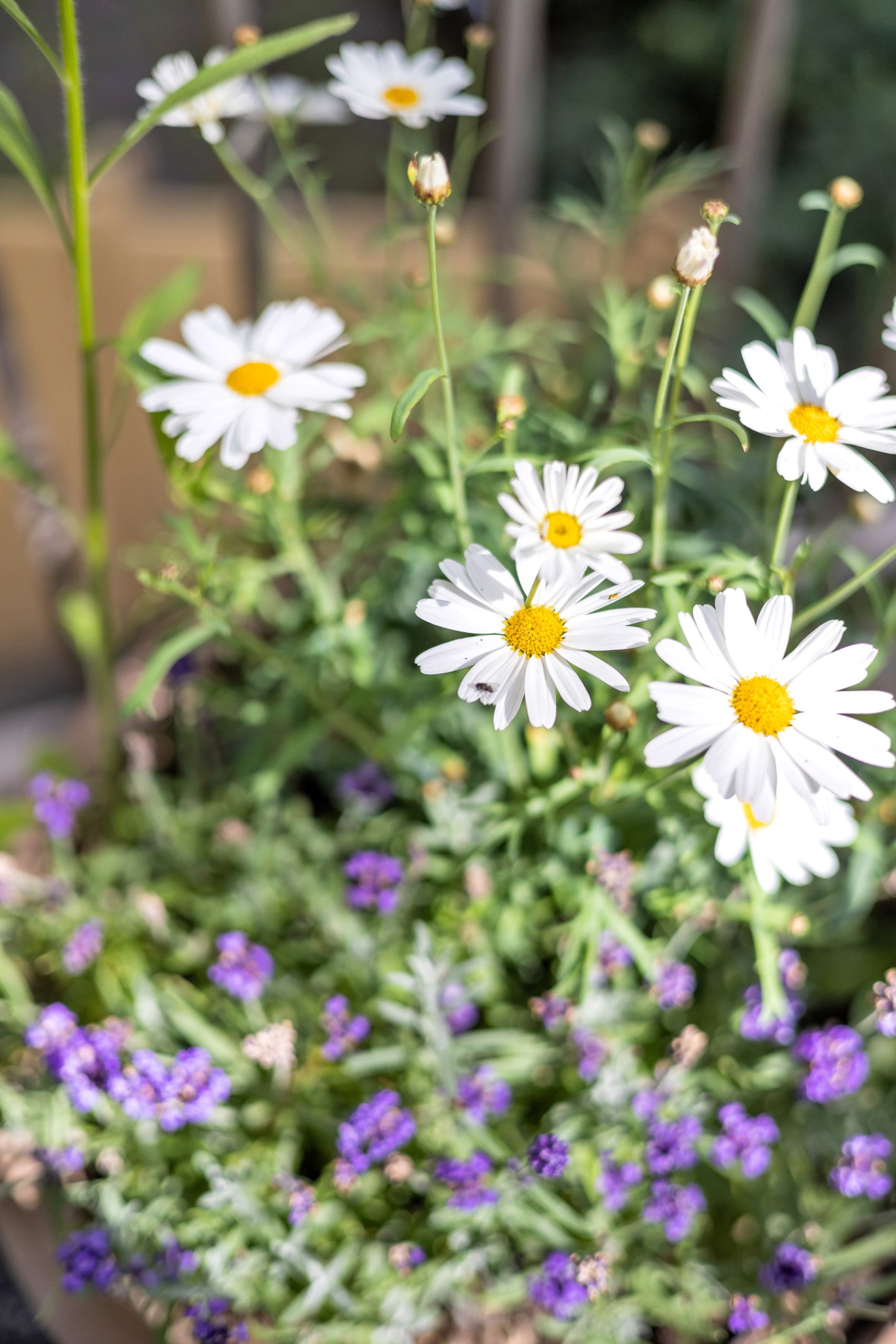 Bostadsbild från Gustaf Kjellbergs väg 7, Såld i Ulleråker, Uppsala