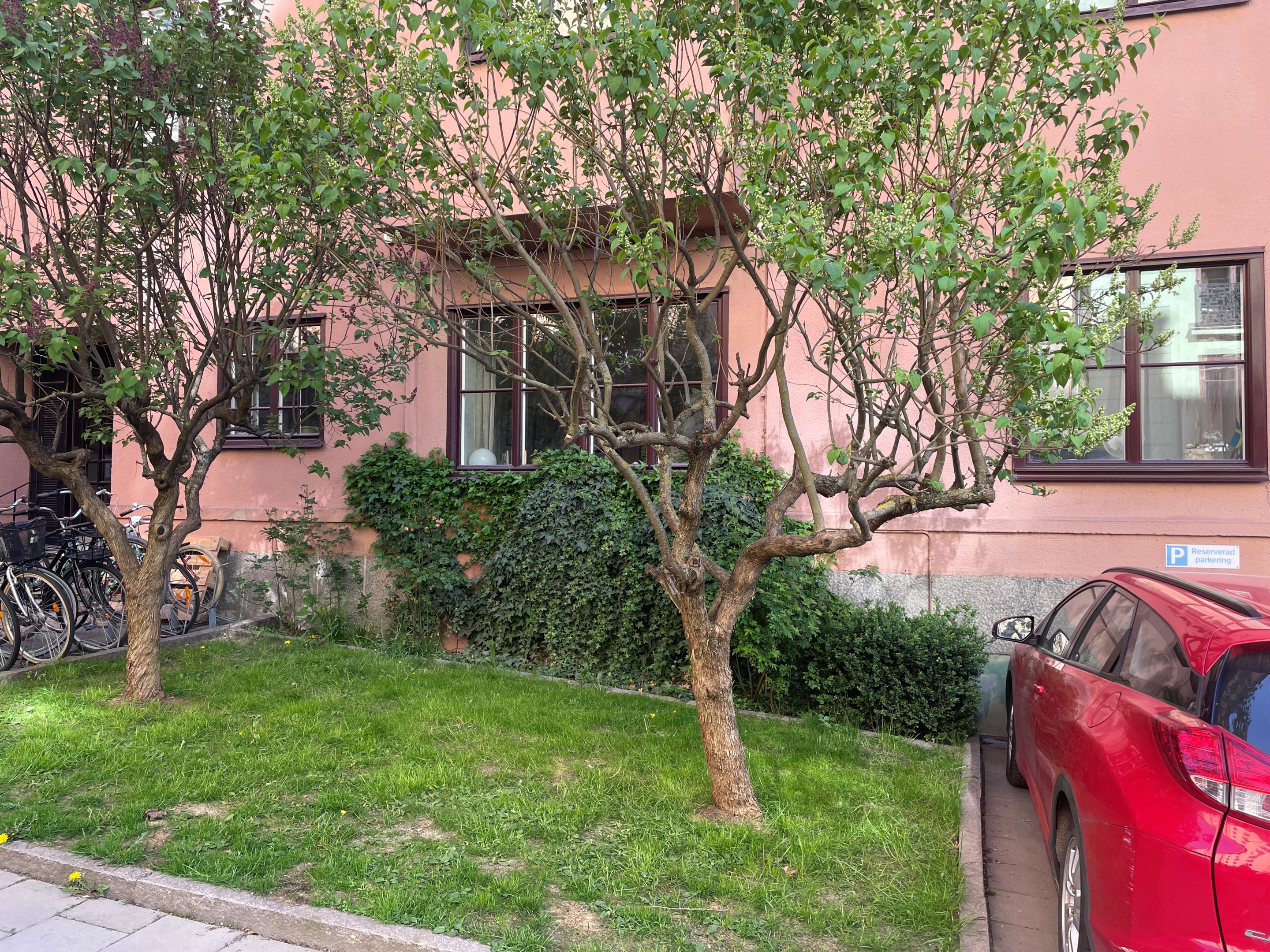 Bostadsbild från Jakob Westinsgatan 6, Såld i Kungsholmen, Stockholm