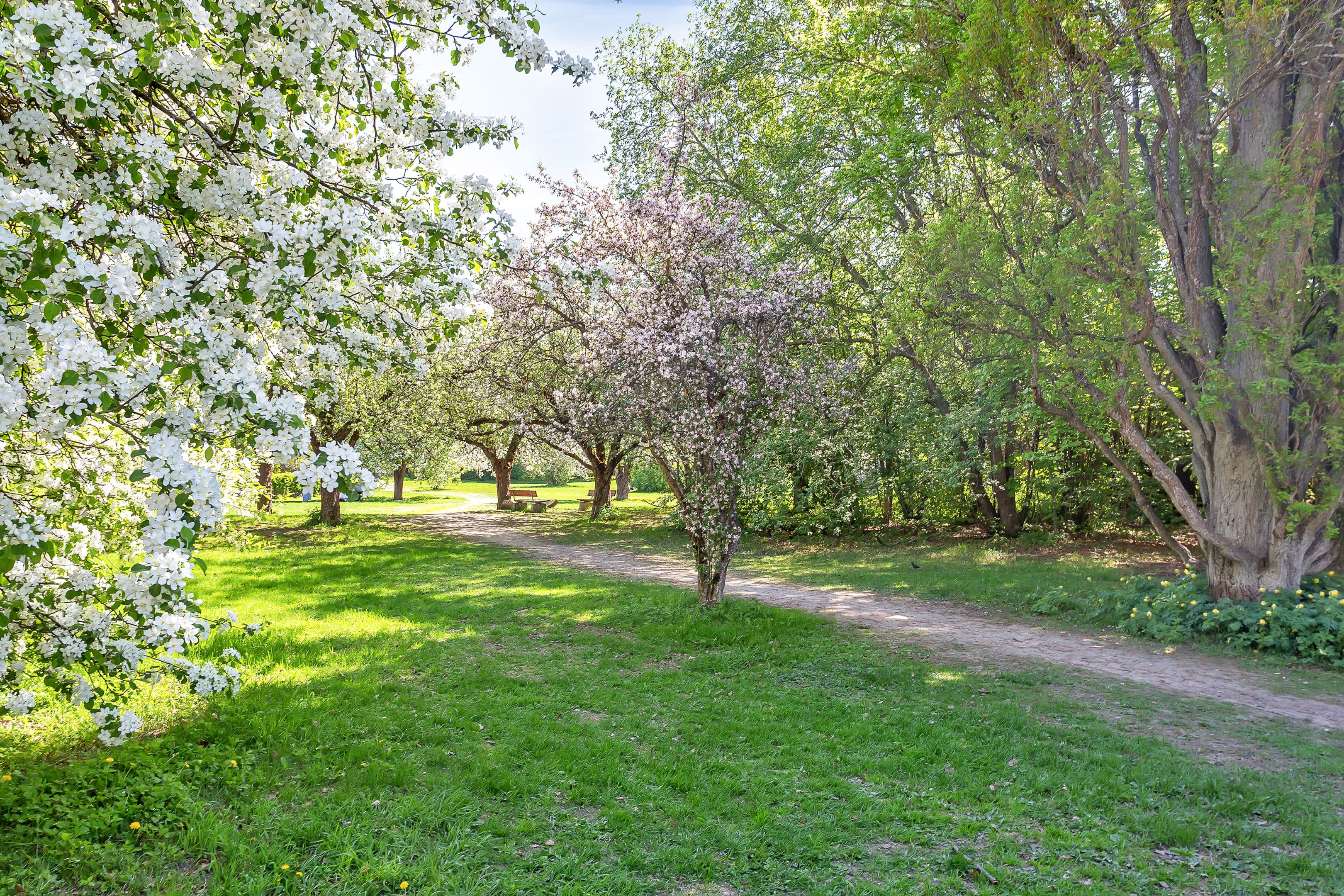 Bostadsbild från Ringgatan 2B, Såld i Luthagen, Uppsala
