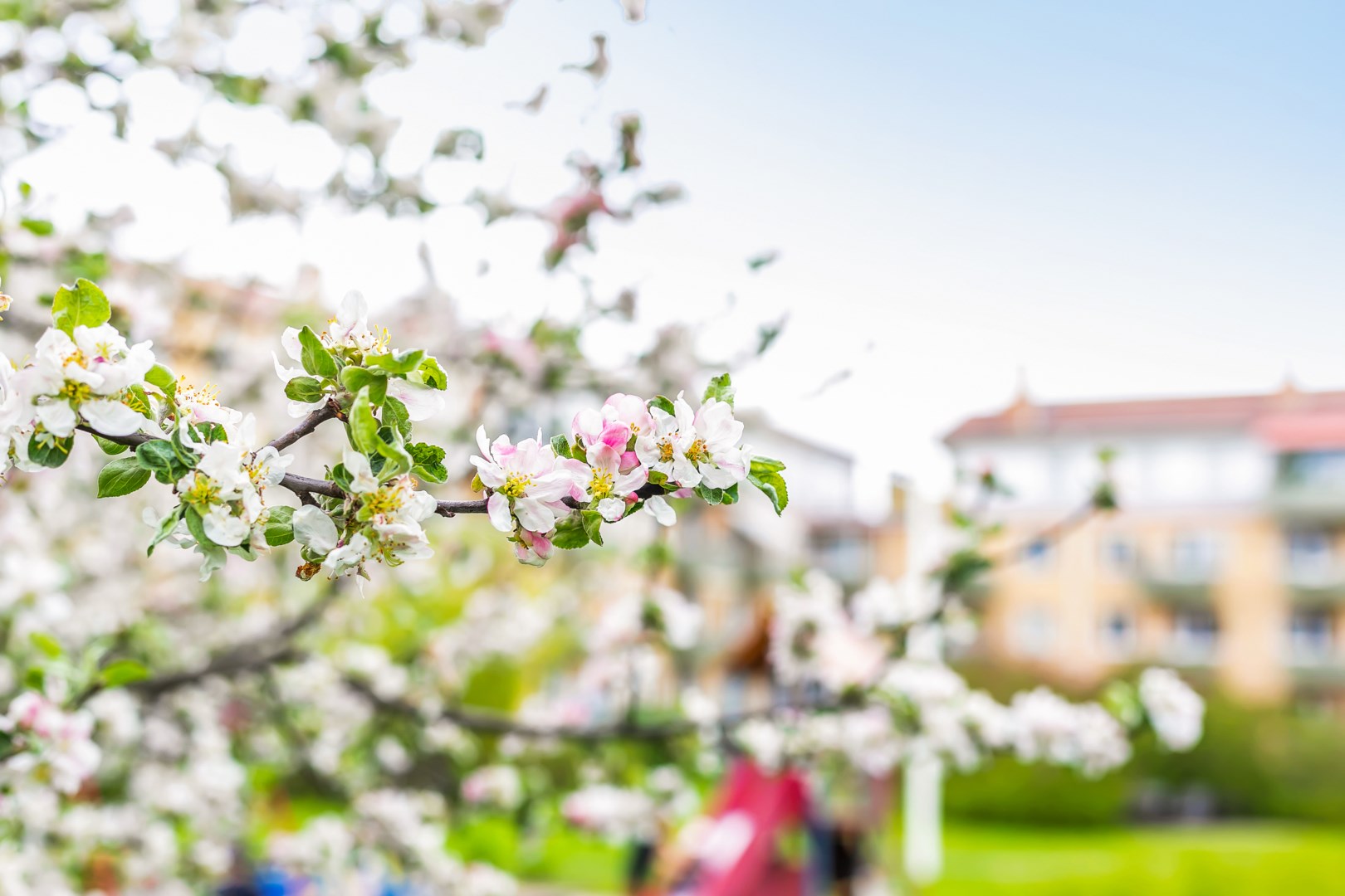 Bostadsbild från Prästgårdsgatan 10 A, Såld i Luthagen, Uppsala