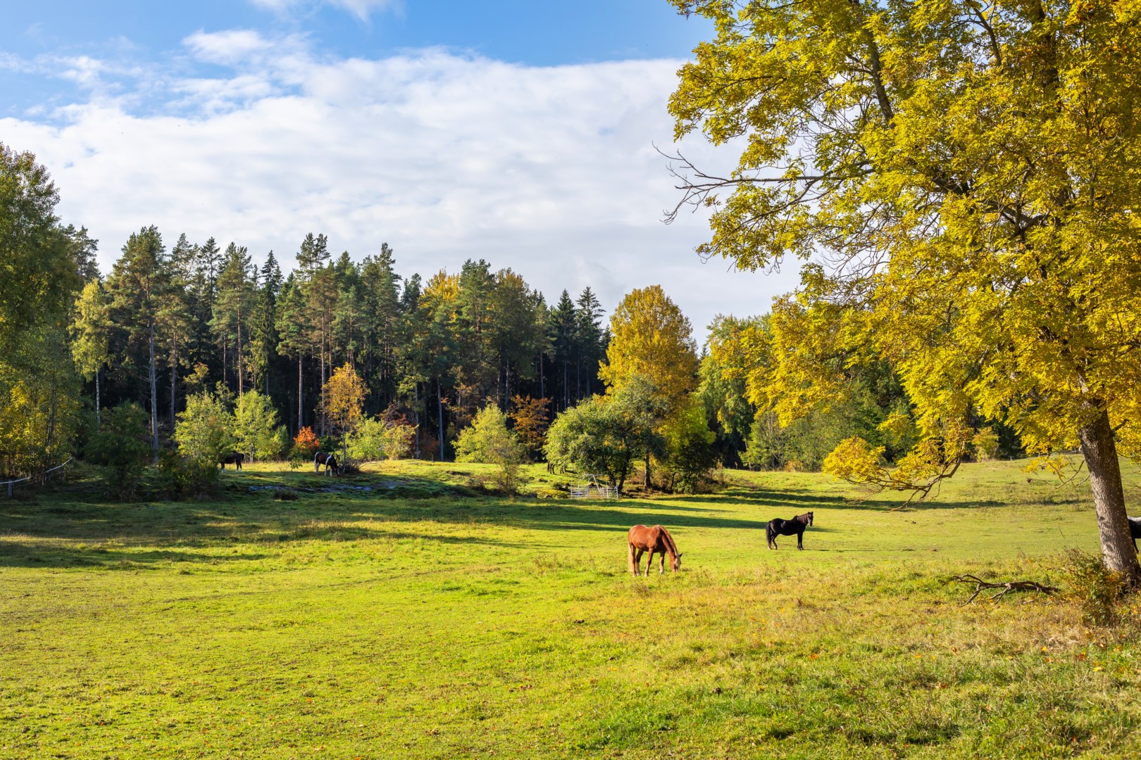 Bostadsbild från Fältspatsvägen 34B, Såld i Norra Lännersta, Nacka