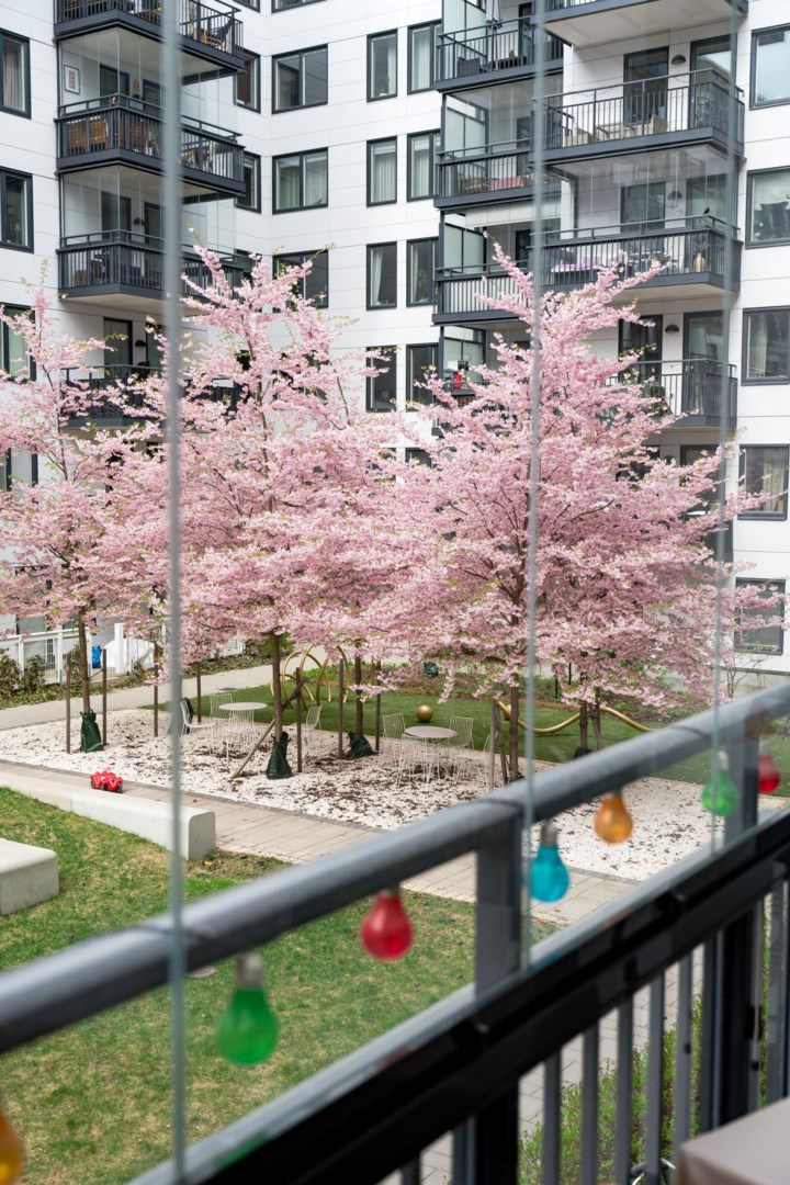 Bostadsbild från Kryddblandargatan 9, Såld i Centrum, Uppsala