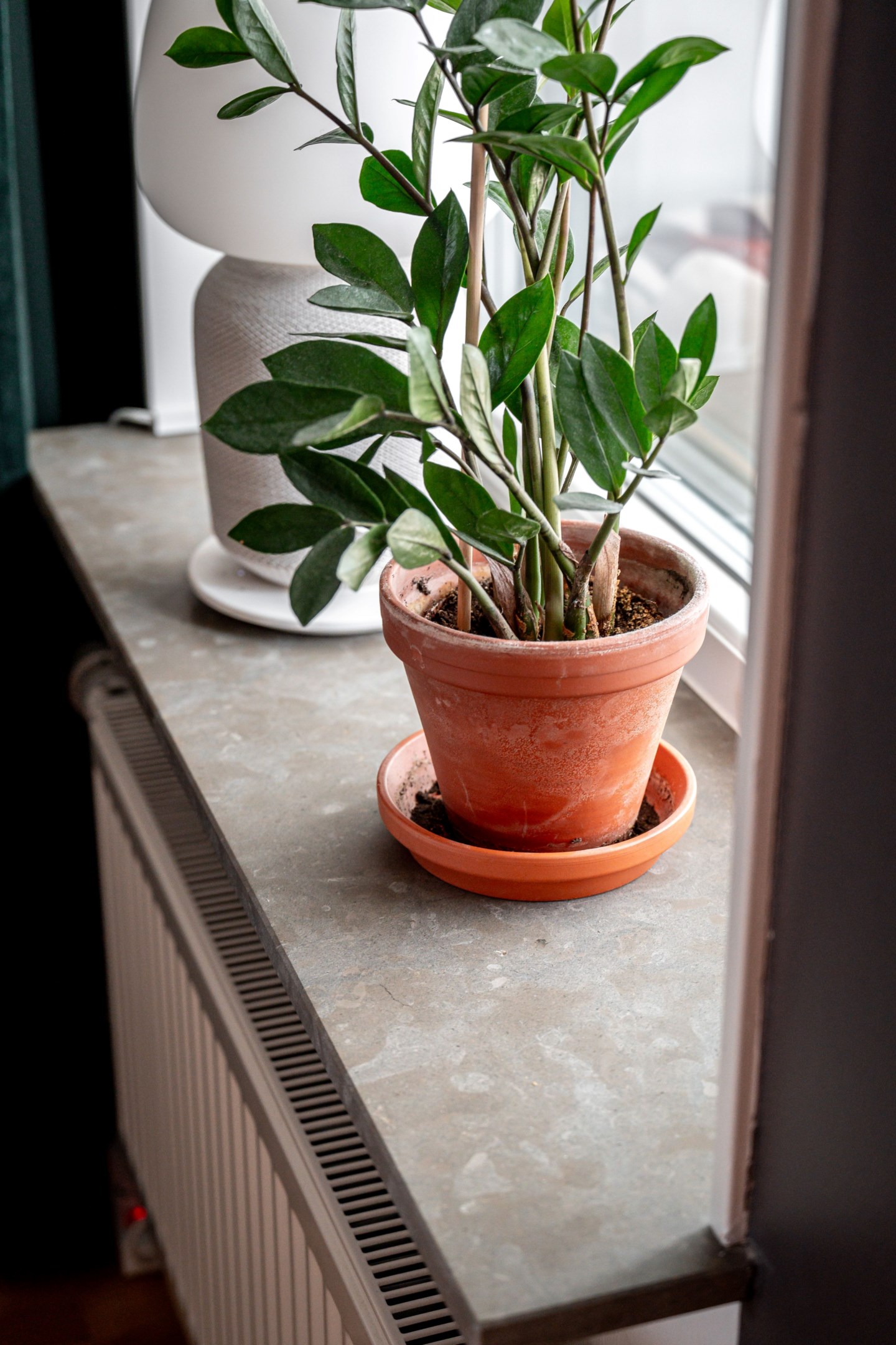 Bostadsbild från Kryddblandargatan 9, Såld i Centrum, Uppsala