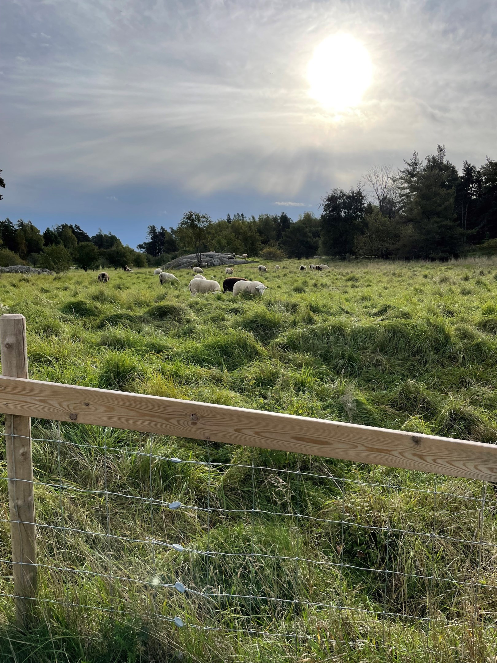 Bostadsbild från Hällbygatan 32 D, Såld i Luthagen, Uppsala