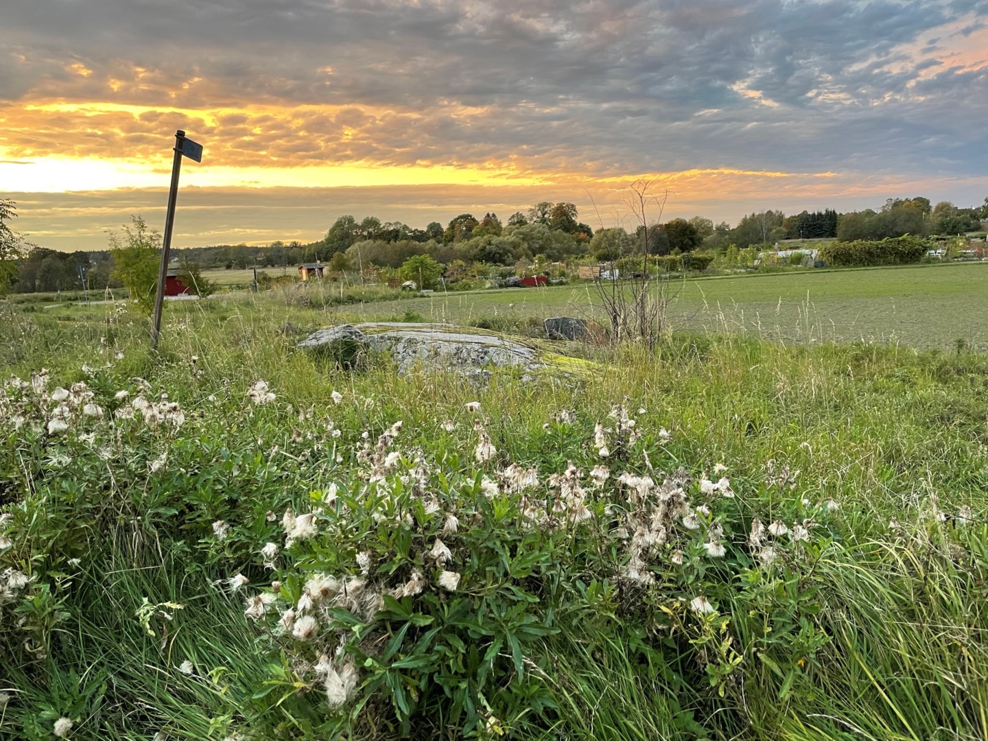 Bostadsbild från Hällbygatan 32 D, Såld i Luthagen, Uppsala