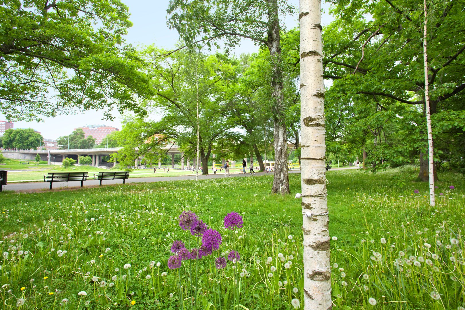Bostadsbild från Sysslomansgatan 20, 5 tr, Såld i Kungsholmen - Nedre Kungsholmen, Stockholm