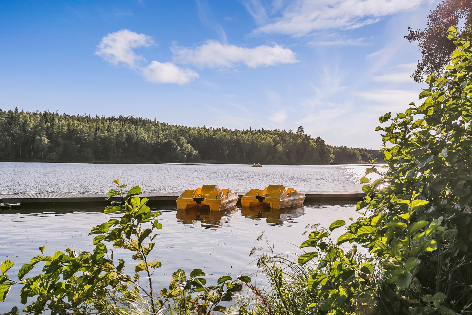 Närbelägna Fjällnora