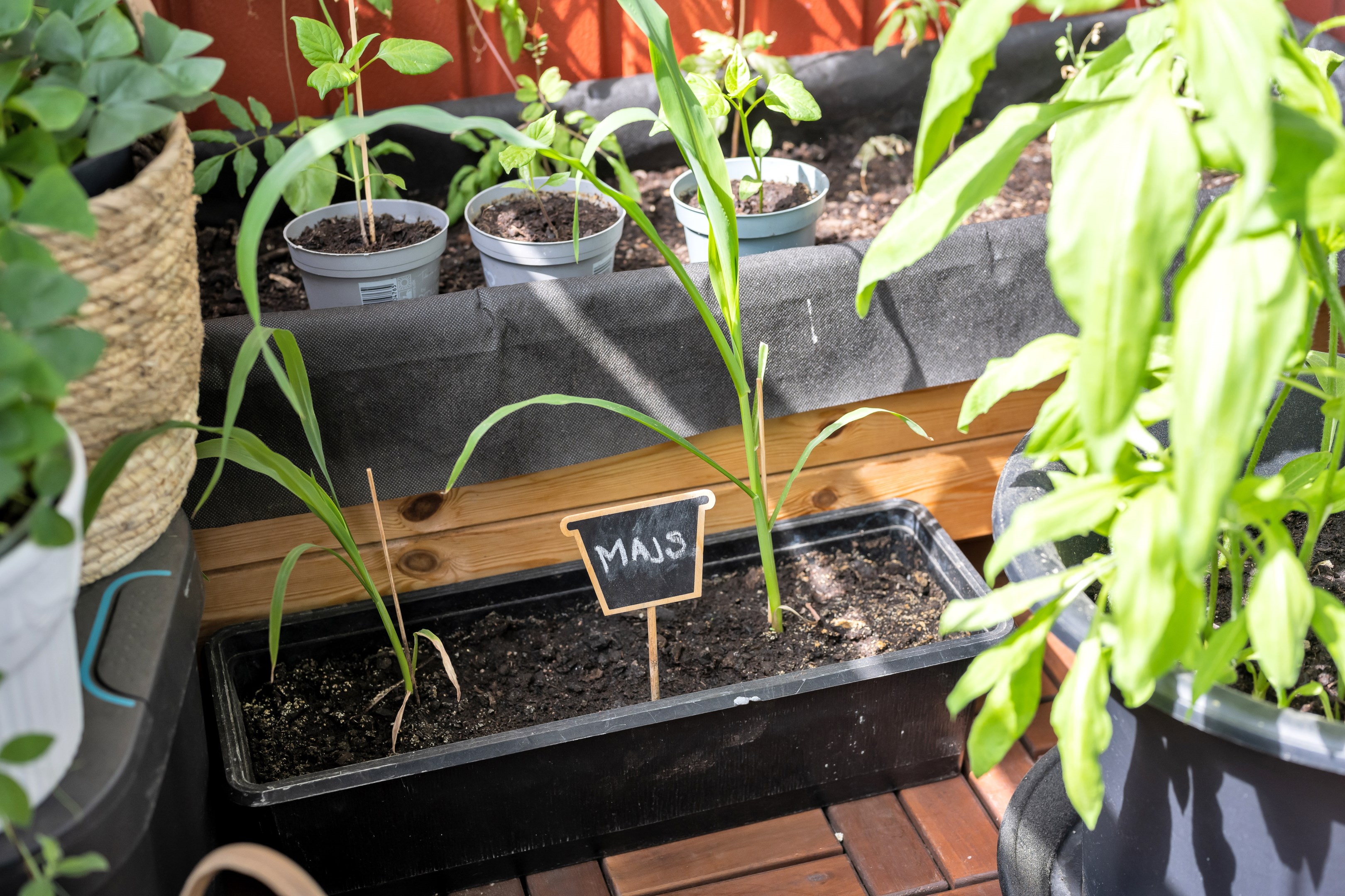 Bostadsbild från Blixtgatan 8, Såld i Gränby, Uppsala