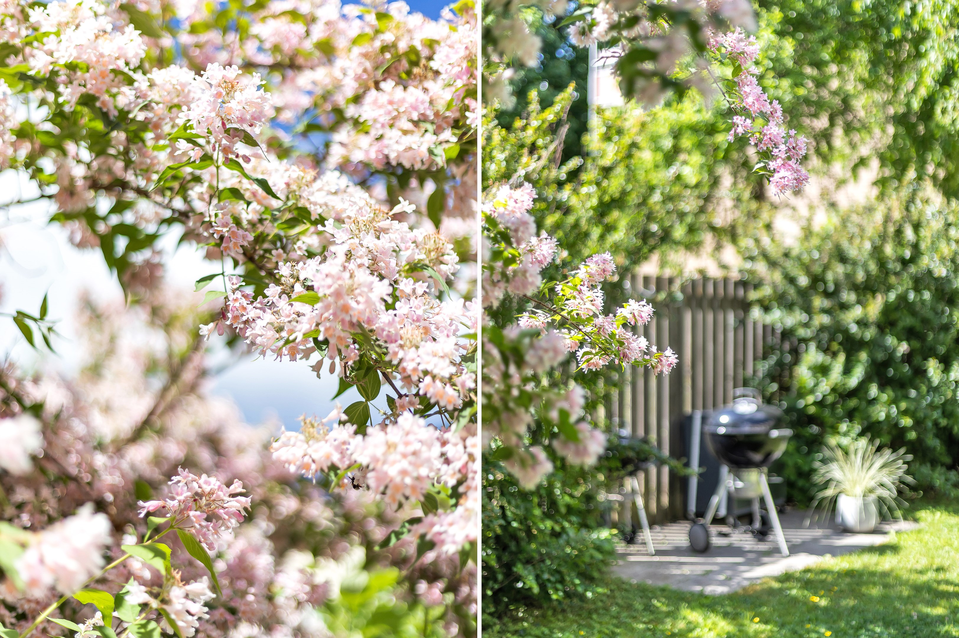 Bostadsbild från Repslagargatan 15A, Såld i Främre Svartbäcken, Uppsala