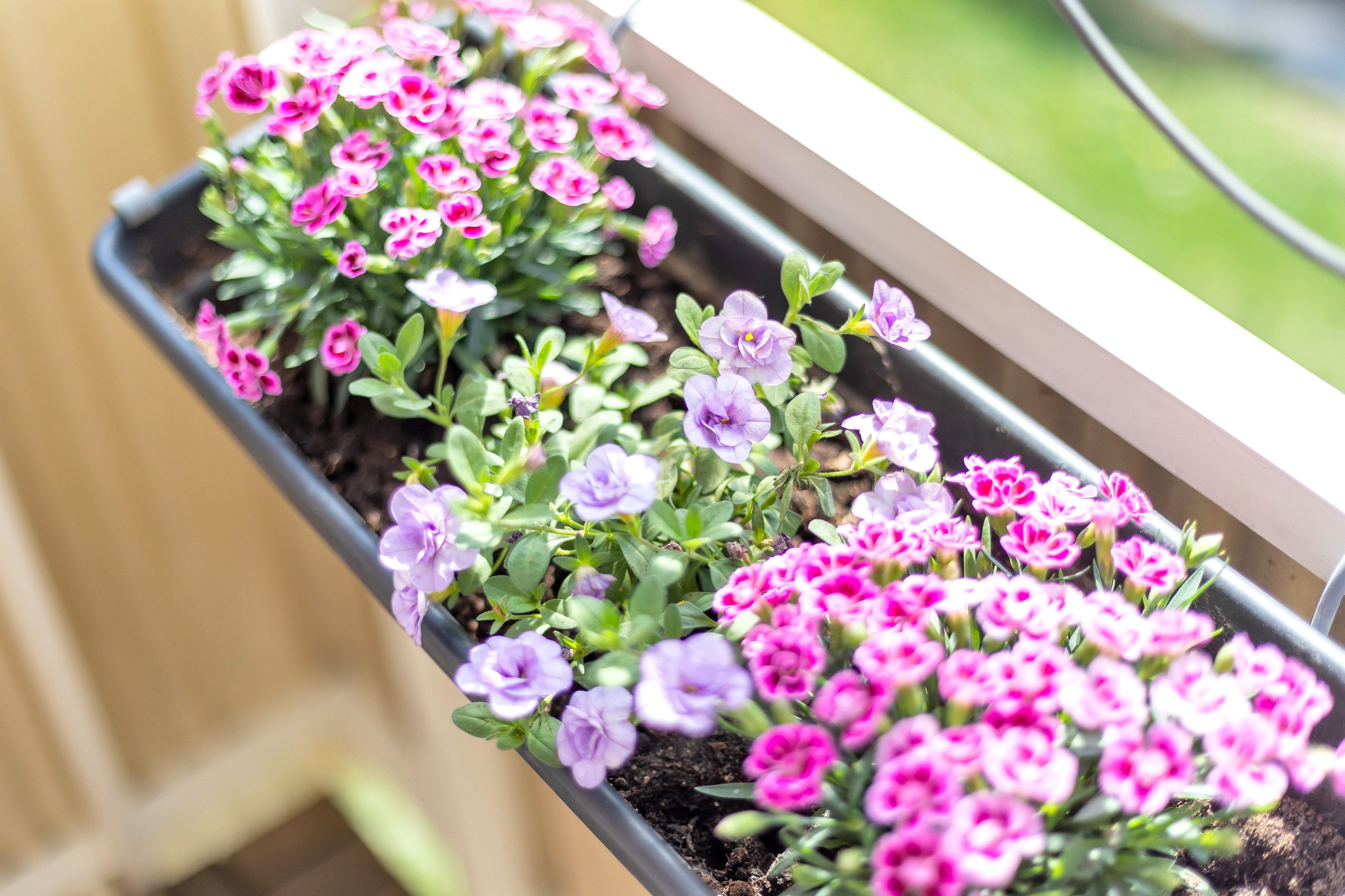Bostadsbild från Tegnérgatan 40 B, Såld i Luthagen, Uppsala