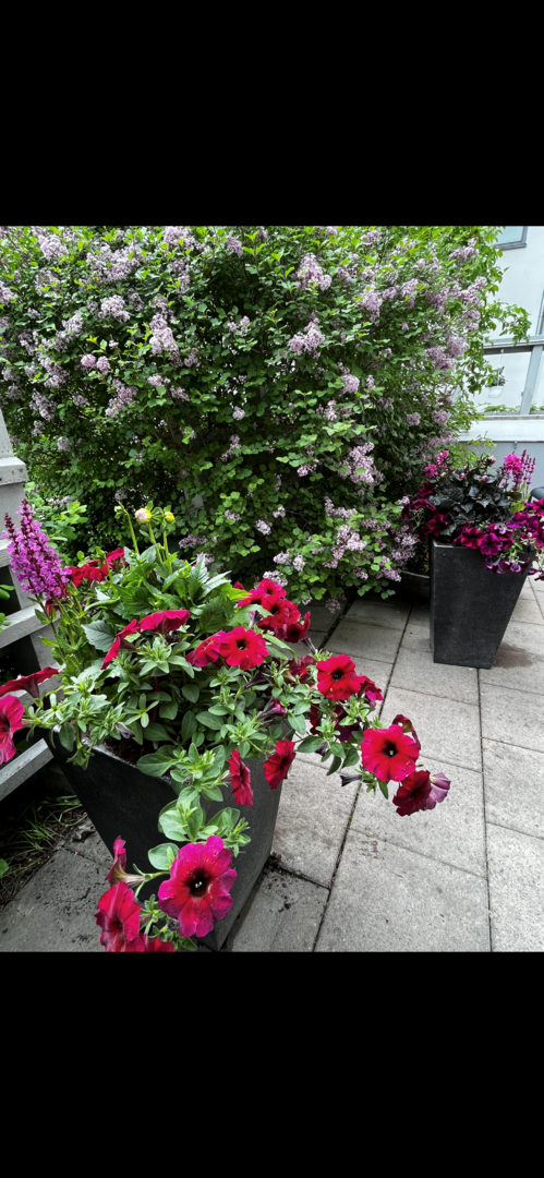 Bostadsbild från Siktargatan 32, Såld i Kungsängen, Uppsala