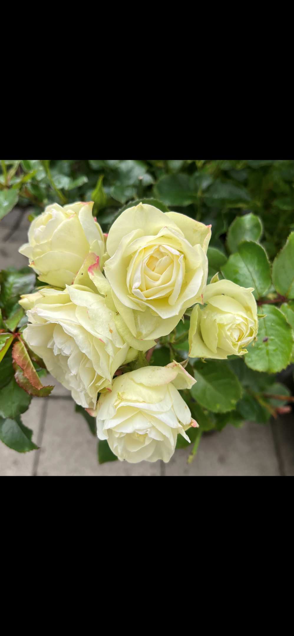 Bostadsbild från Siktargatan 32, Såld i Kungsängen, Uppsala