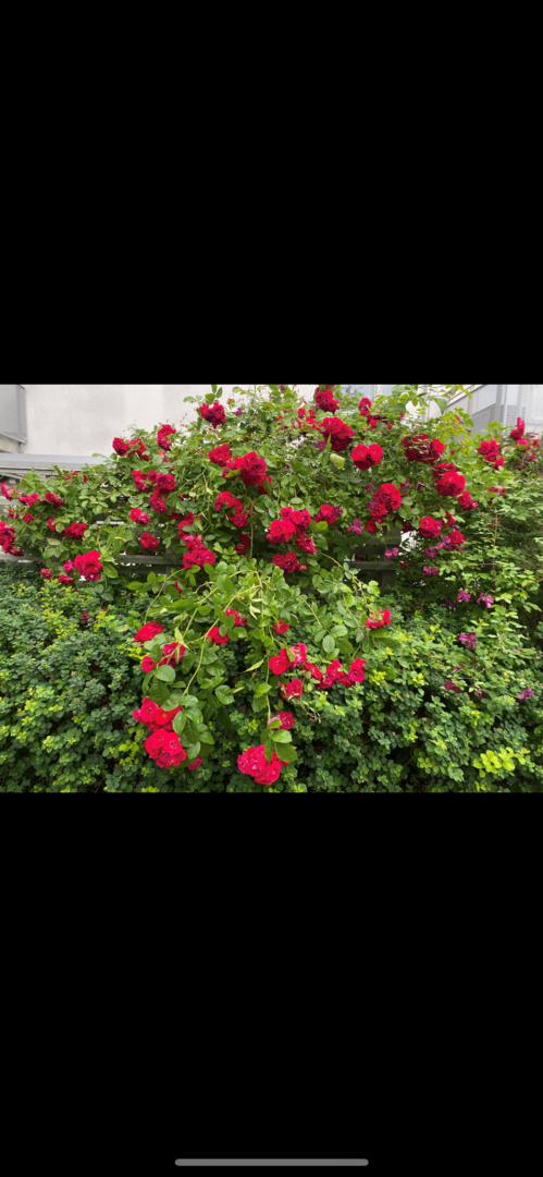 Bostadsbild från Siktargatan 32, Såld i Kungsängen, Uppsala