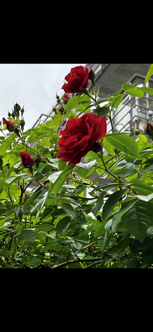 Bostadsbild från Siktargatan 32, Såld i Kungsängen, Uppsala