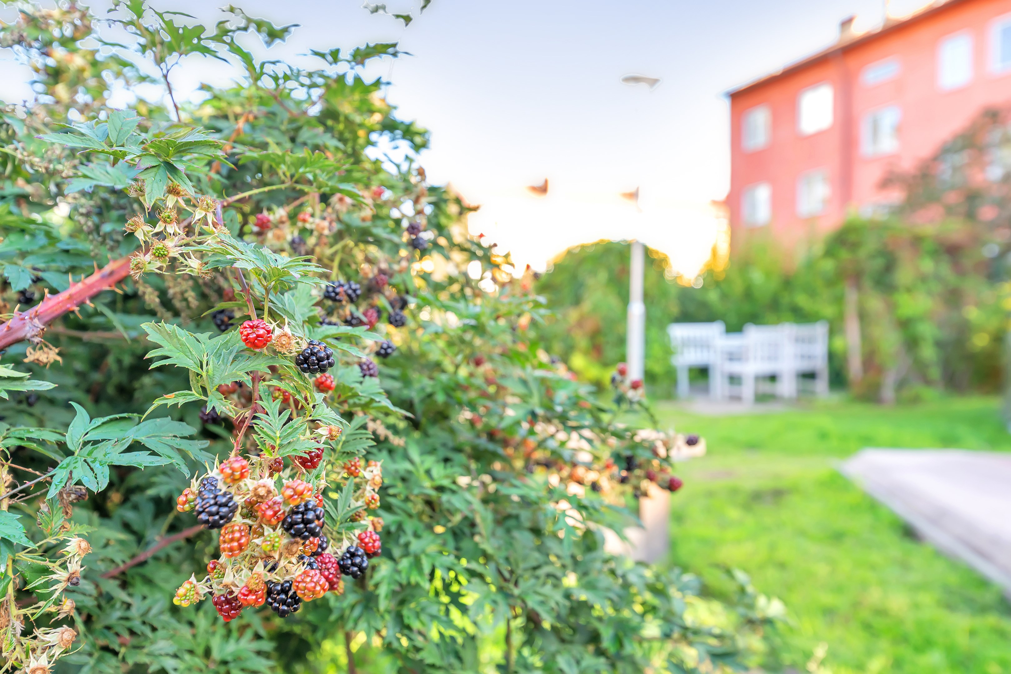 Bostadsbild från Svartbäcksgatan 105 C, Såld i Svartbäcken, Uppsala