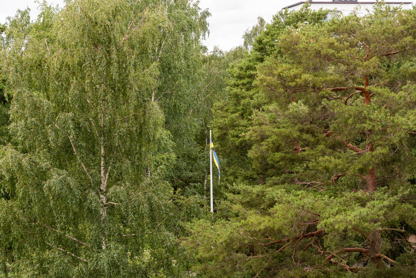 Bostadsbild från Norrbygatan 3A, Såld i Odensvi, Västerås