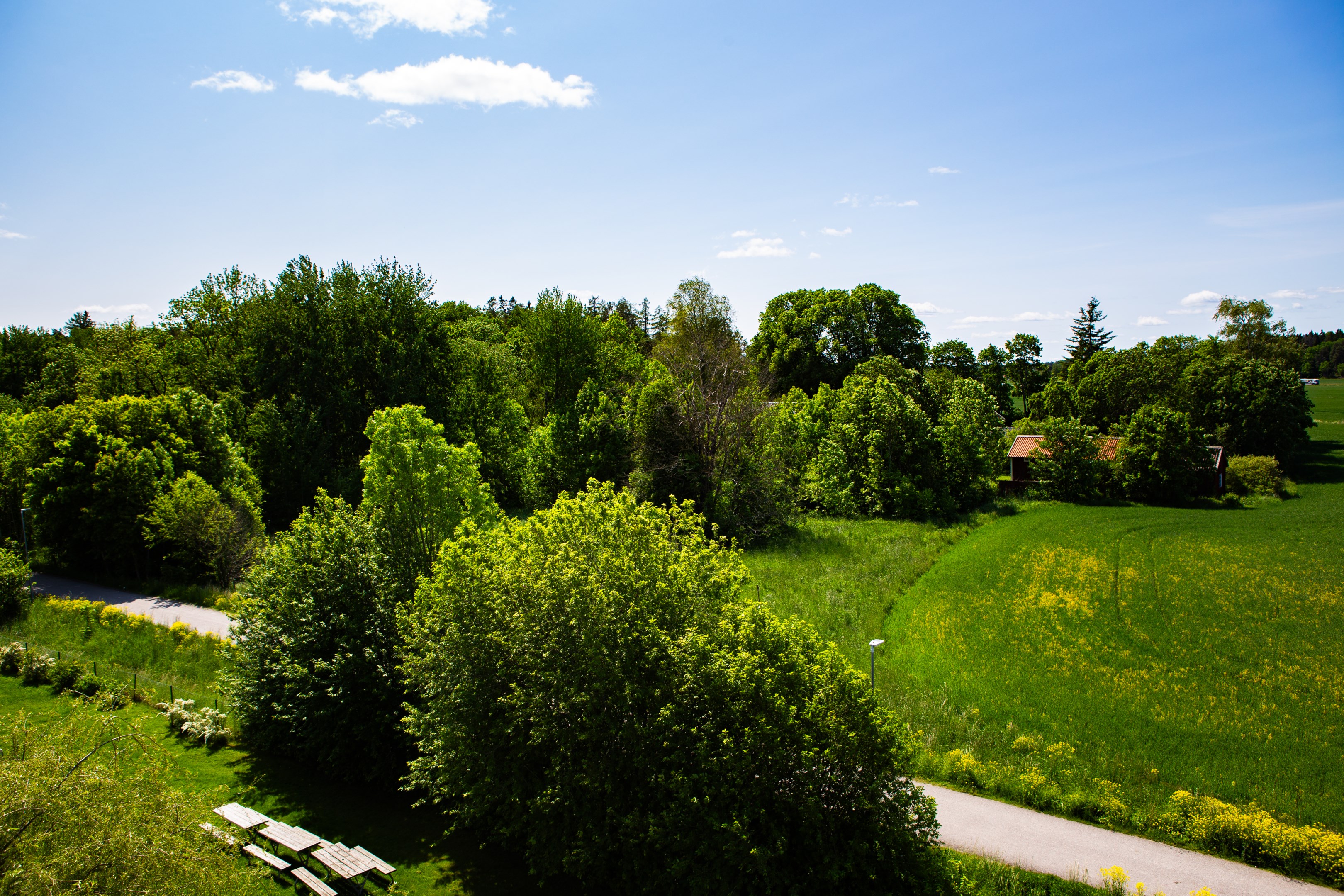 Bostadsbild från Tiundagatan 53, Såld i Luthagen, Uppsala