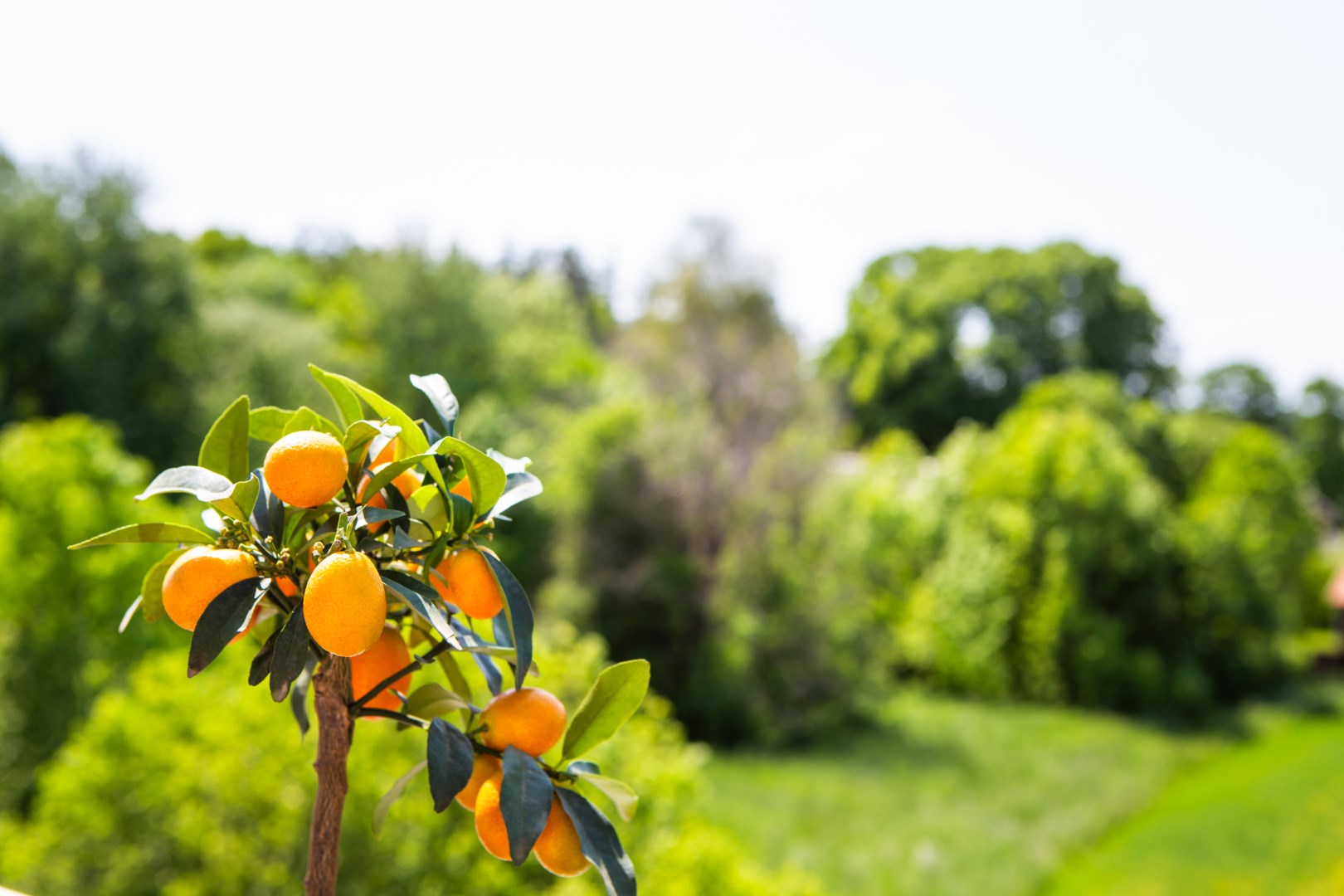 Bostadsbild från Tiundagatan 53, Såld i Luthagen, Uppsala