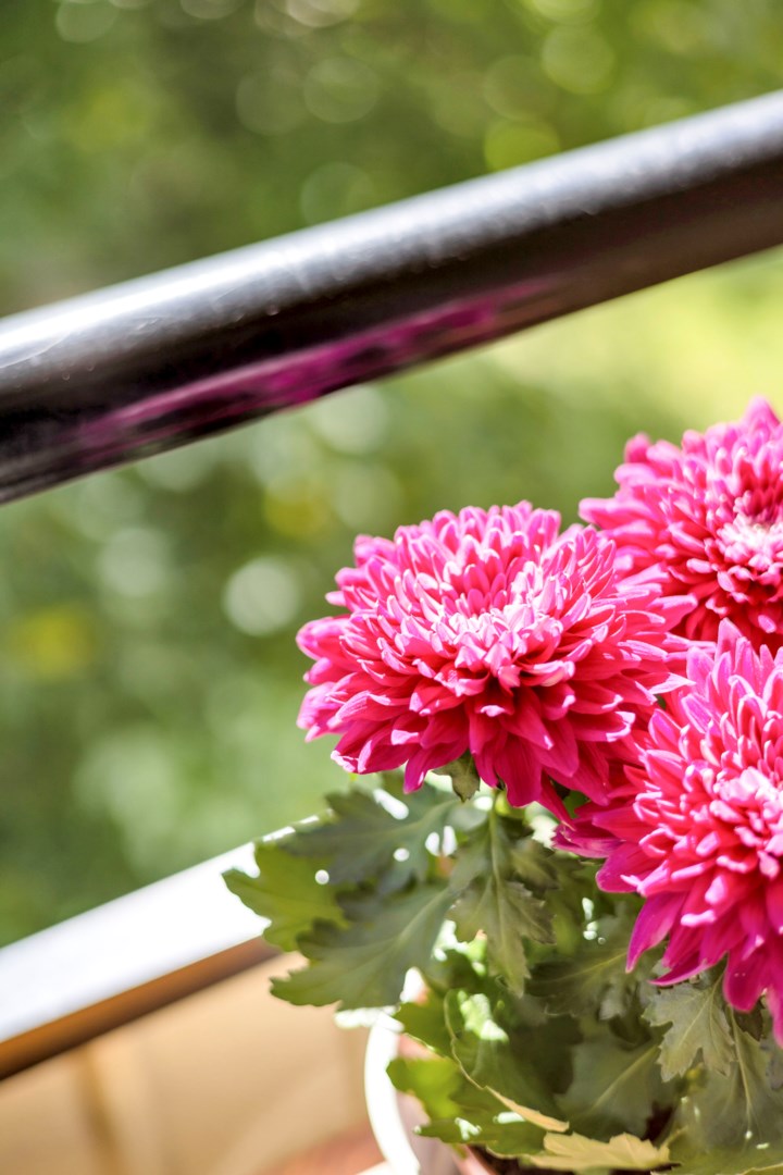 Bostadsbild från Heidenstamsgatan 17, Såld i Löten, Uppsala