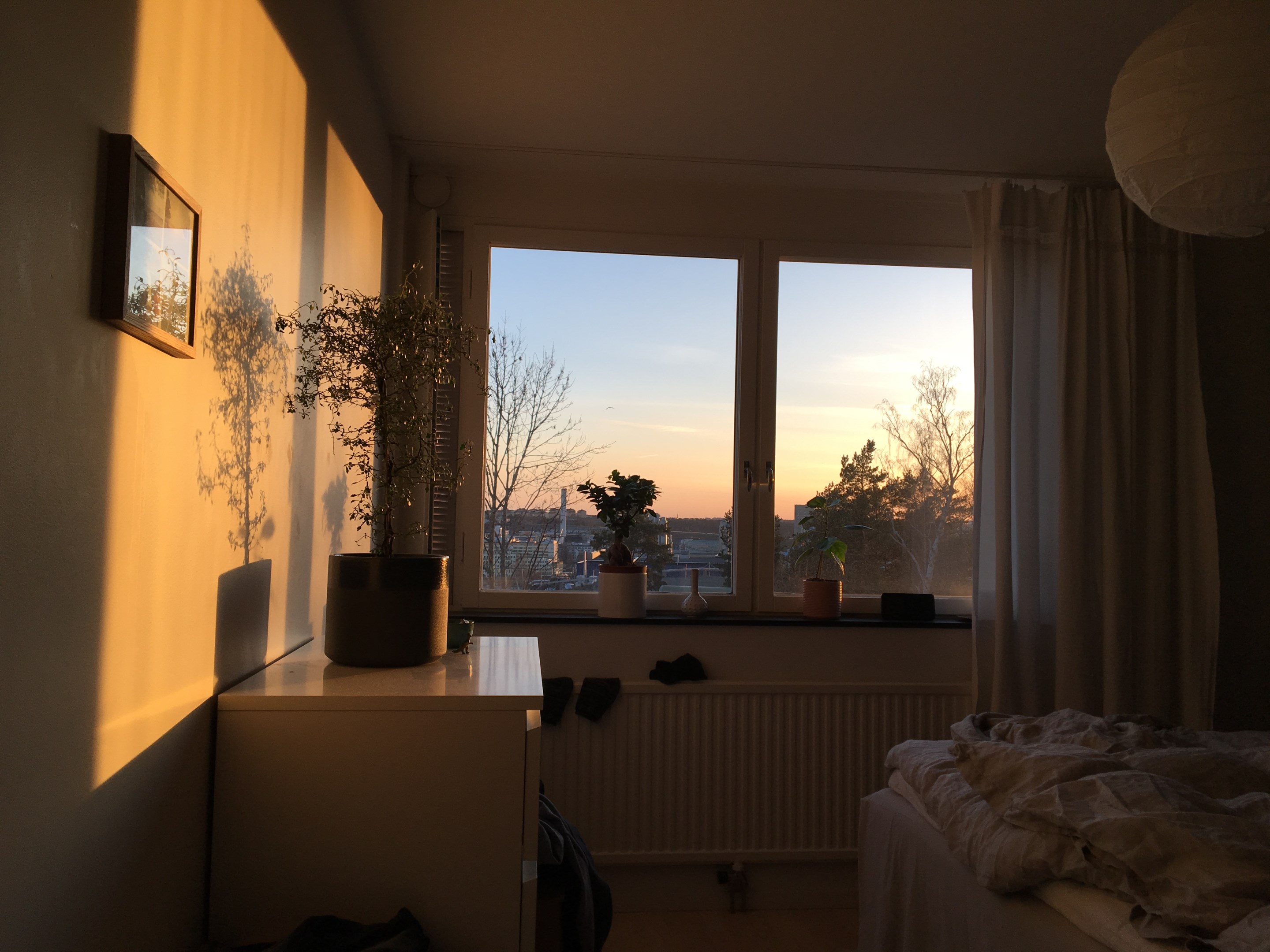 Säljarens egna bild