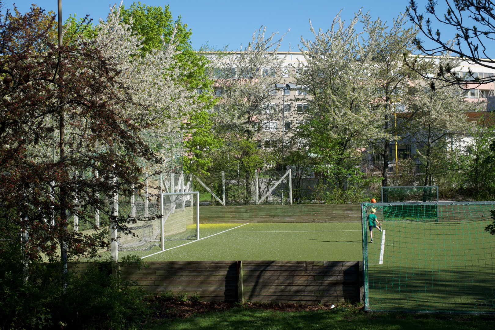 Föreningens innergård