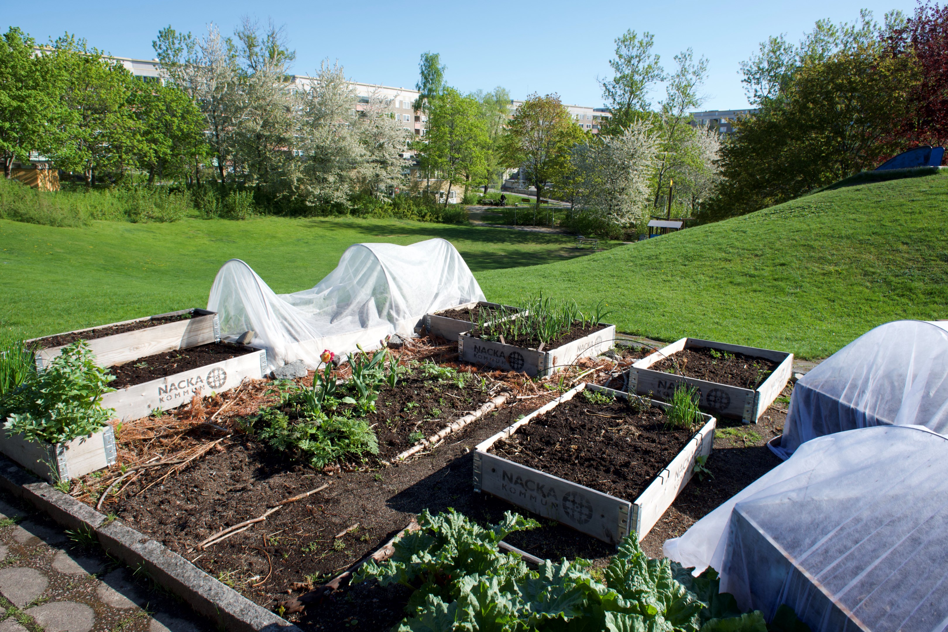 Föreningens innergård