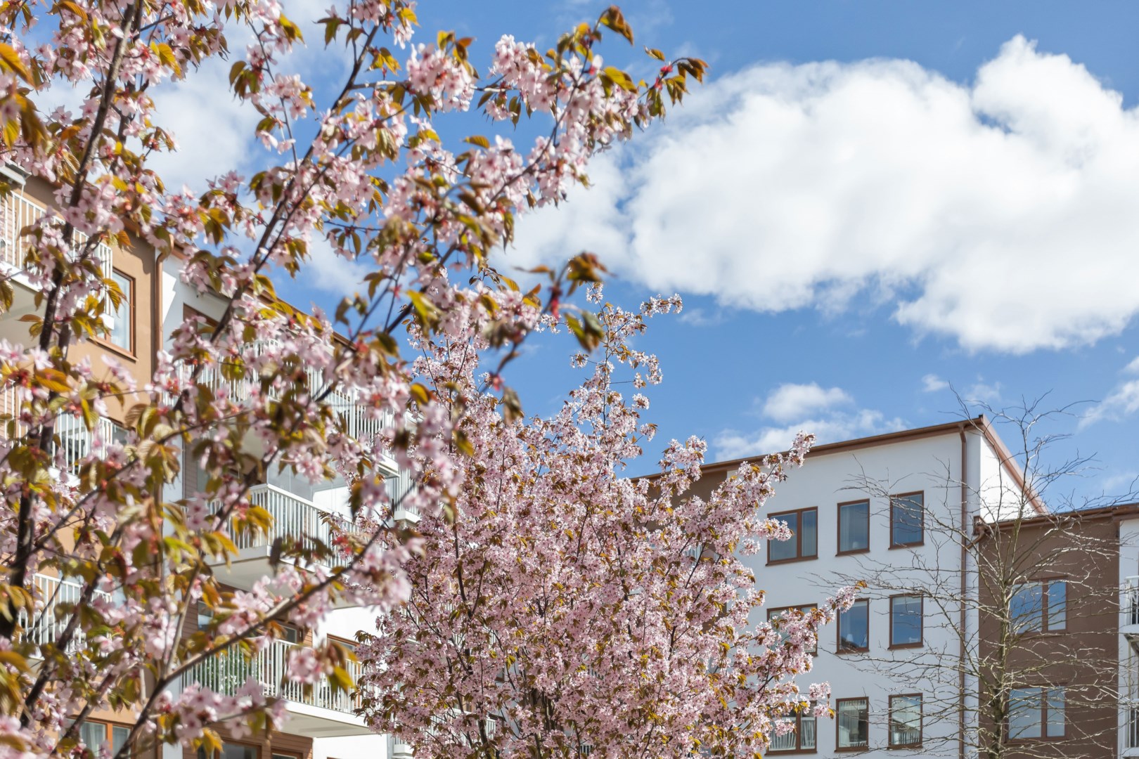 Bostadsbild från Ljusbärargatan 7, Såld i Kapellgärdet, Uppsala