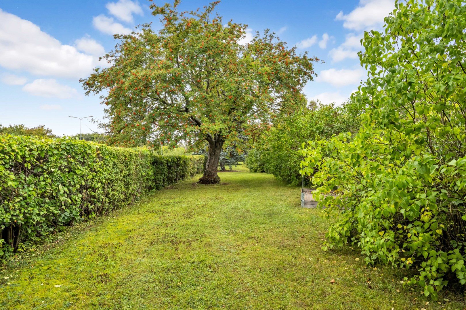 Bostadsbild från Byggmästargatan 13E, Kommande i Salabacke, Uppsala