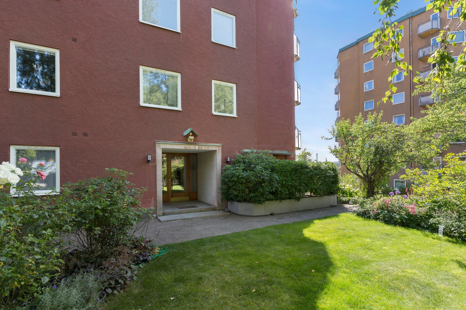 I föreningens trädgård växer bärbuskar och fruktträd