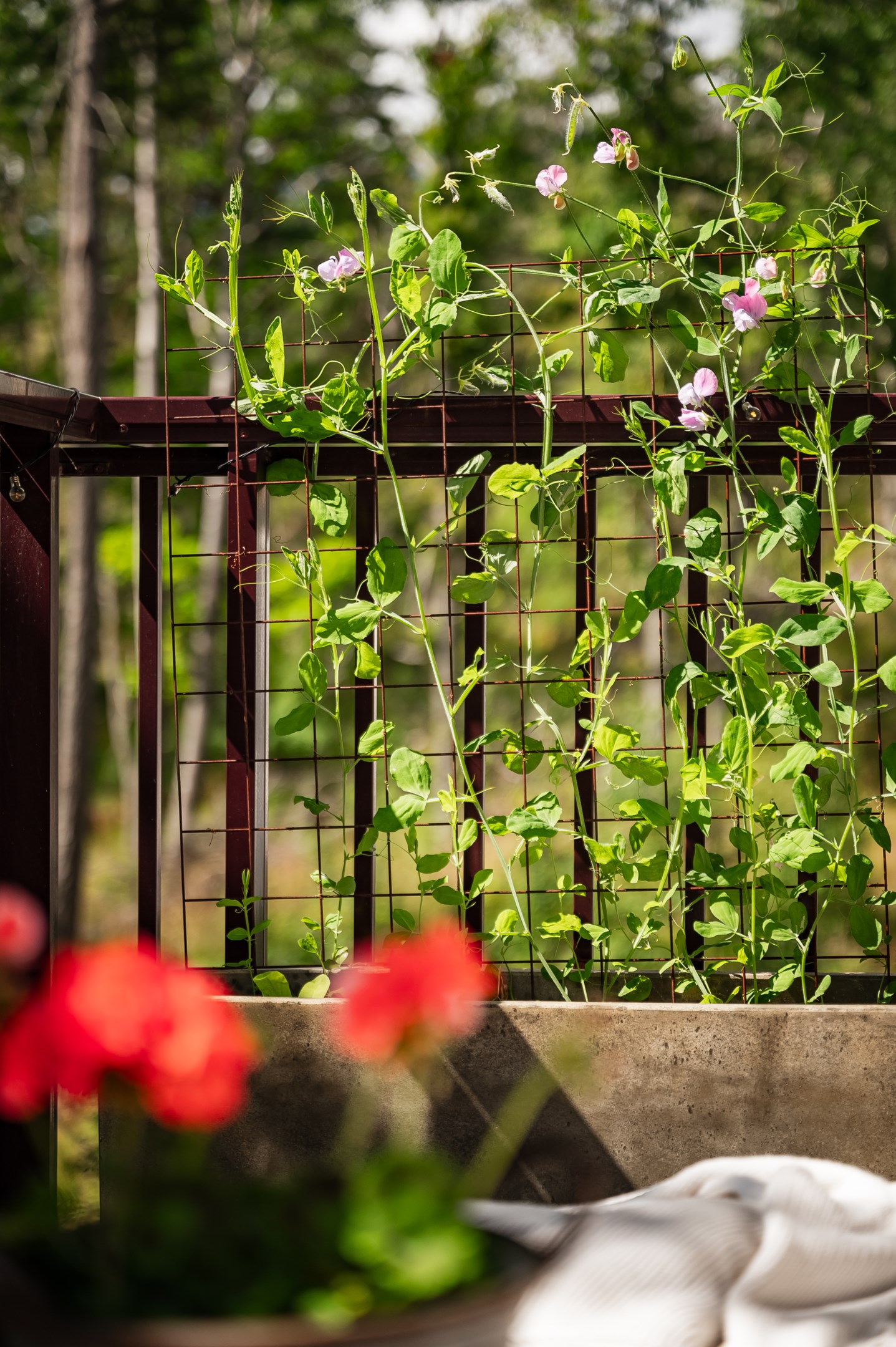 Bostadsbild från Tollare Ängsväg 24, Kommande i Tollare, Nacka