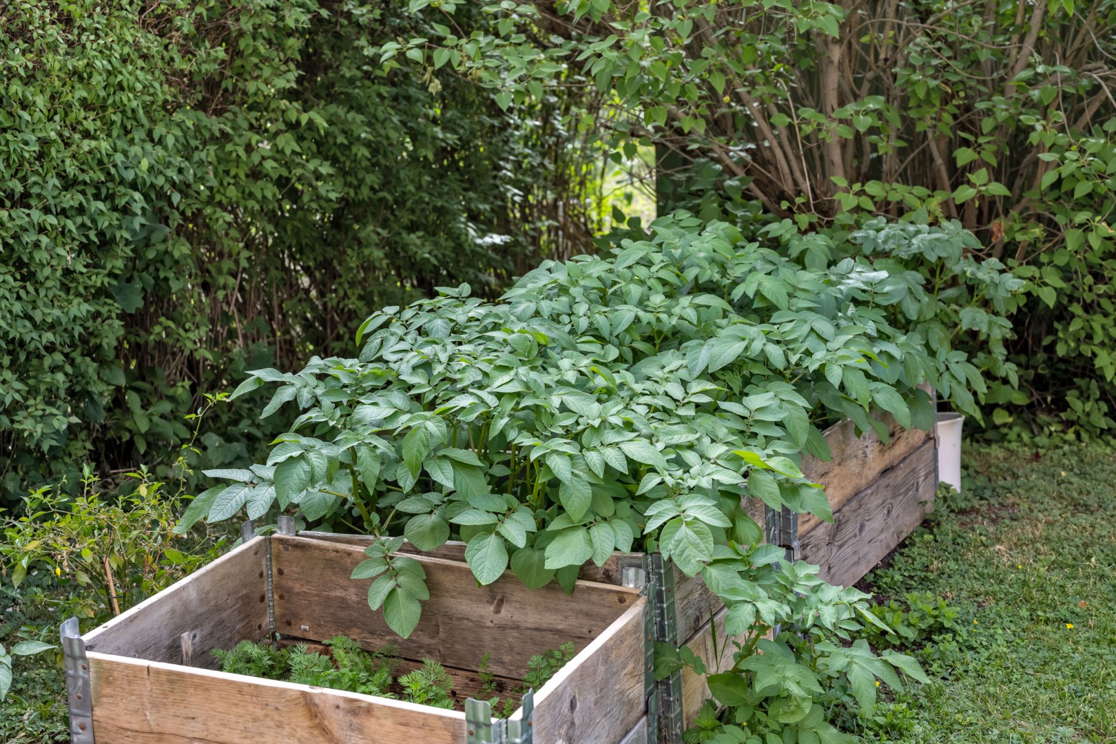 Bostadsbild från Ringgatan 16B, Såld i Luthagen, Uppsala